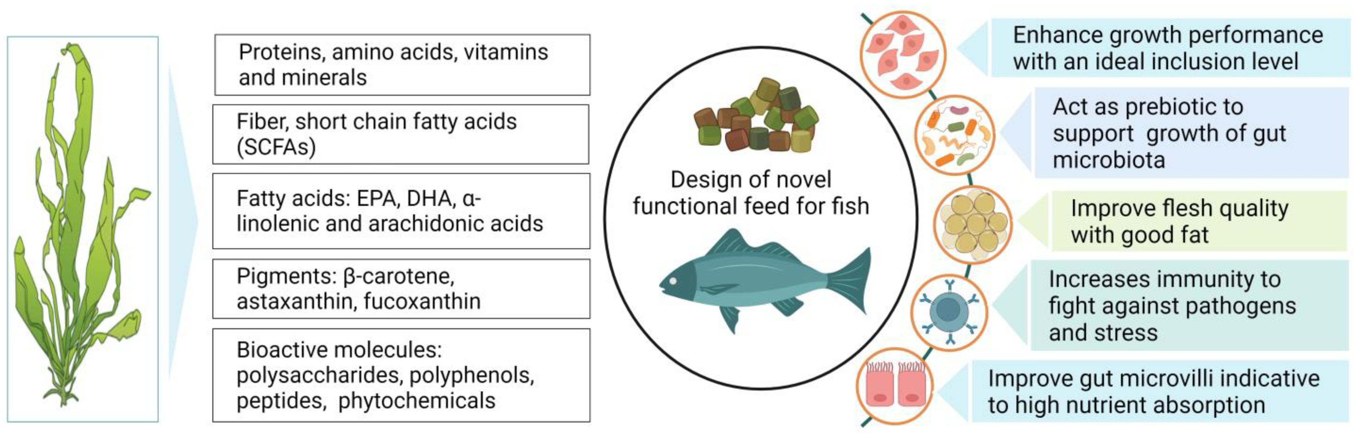 Seaweed and Seaweed-Based Functional Metabolites as Potential 