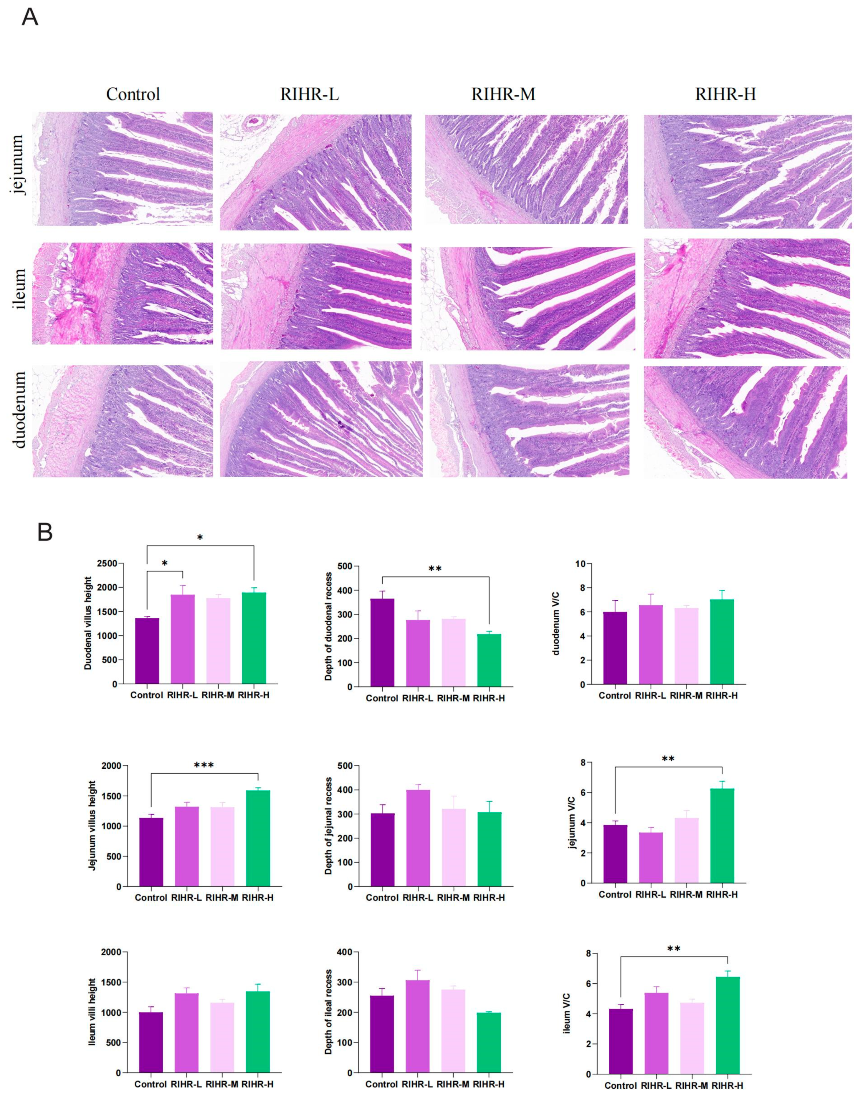 Antioxidants 12 02084 g002