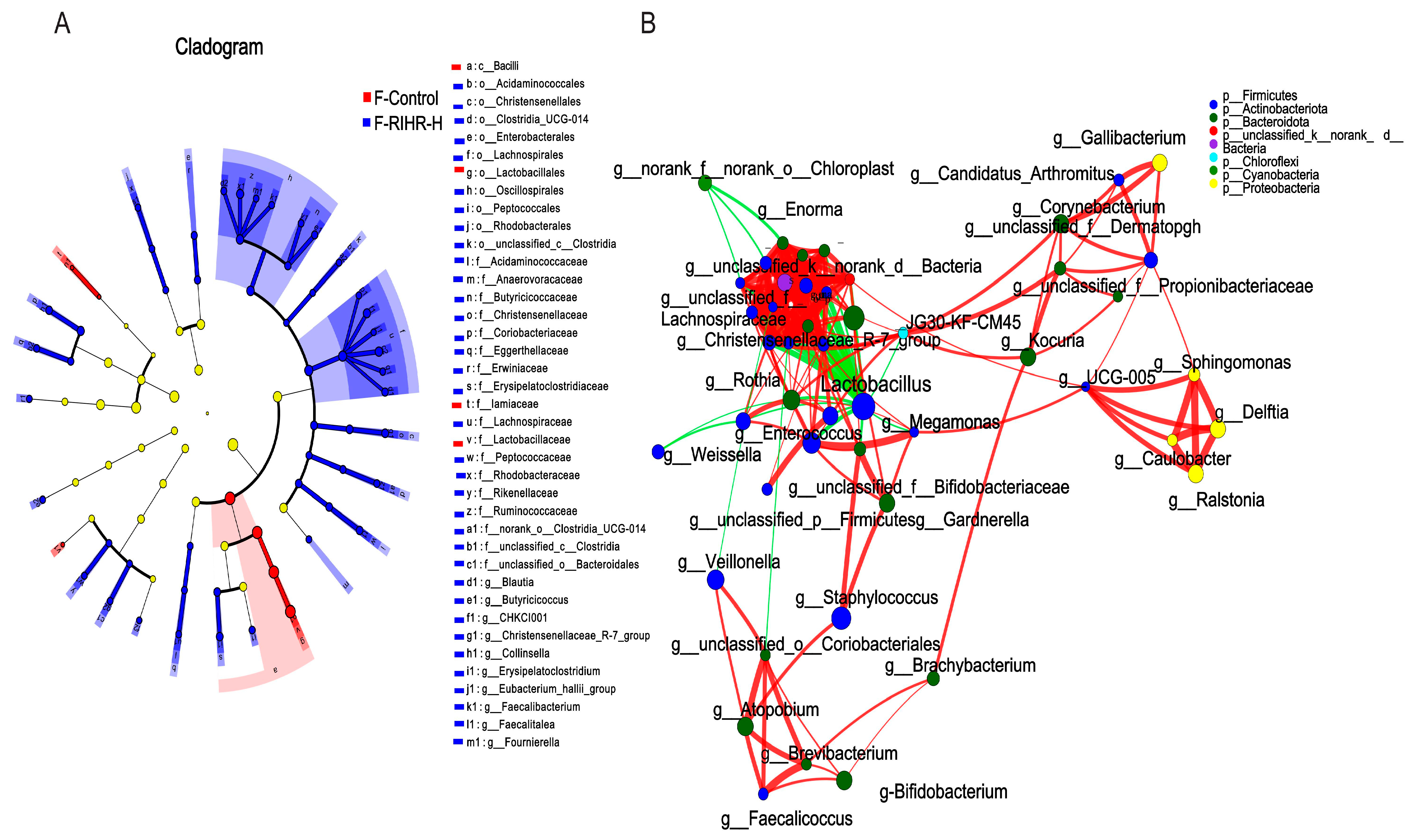 Antioxidants 12 02084 g007