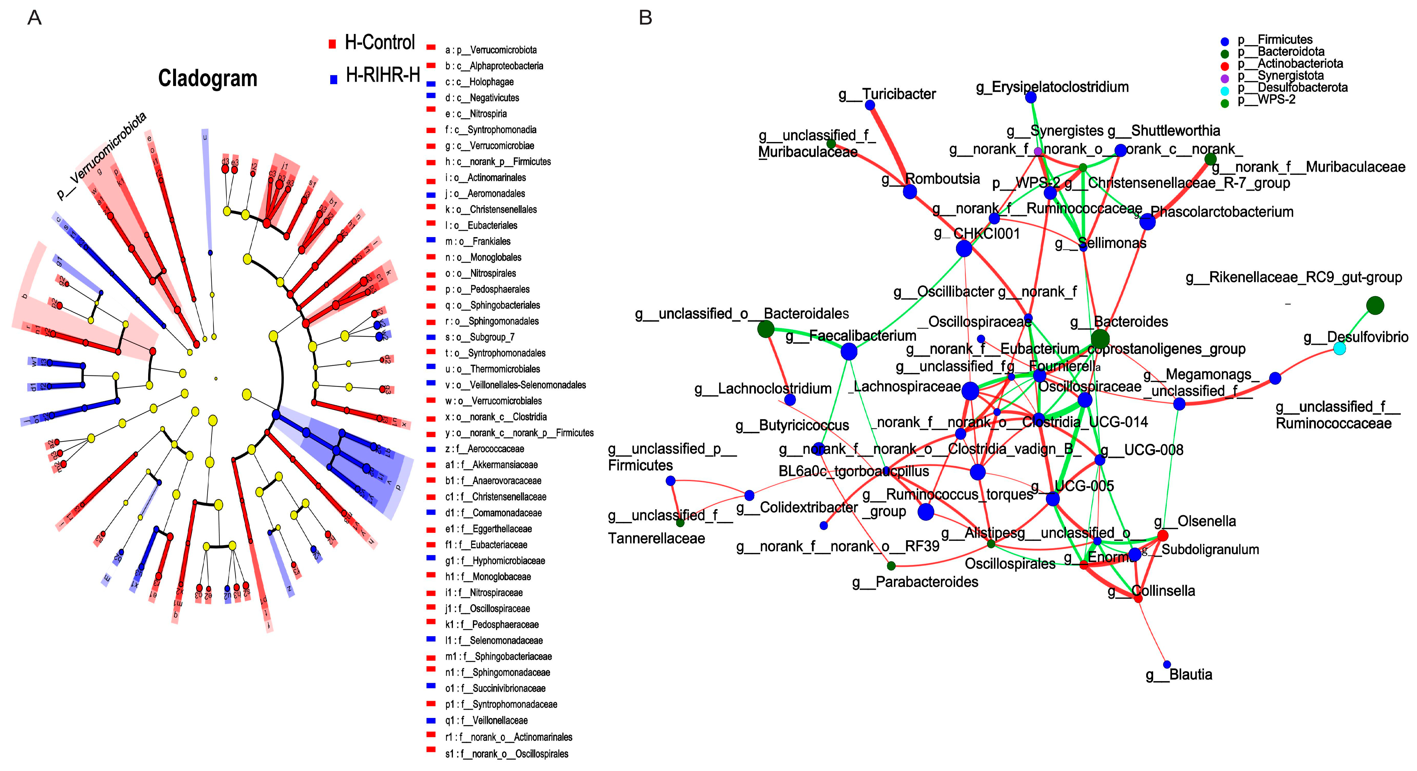 Antioxidants 12 02084 g010