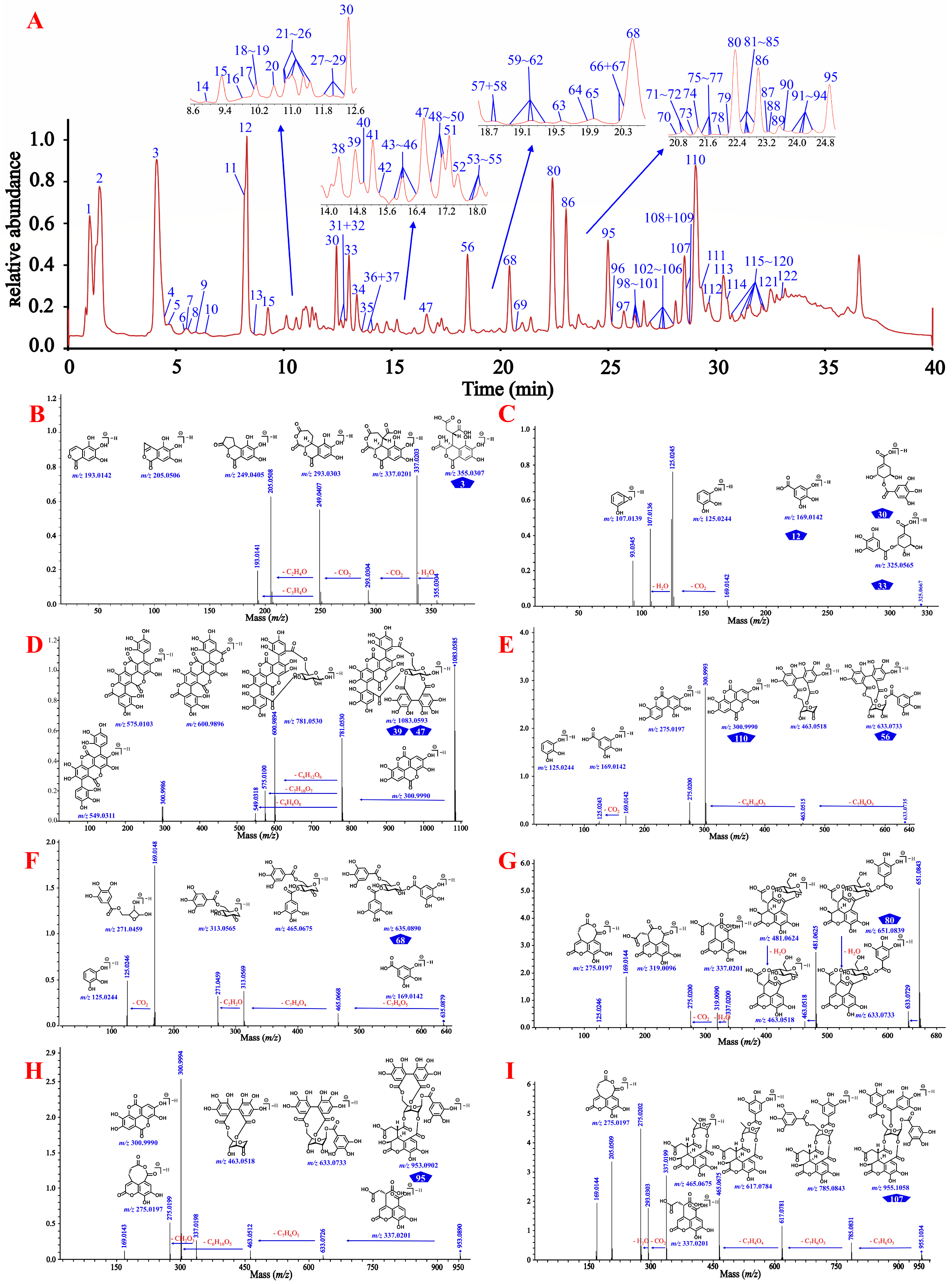 Antioxidants 12 02093 g003a