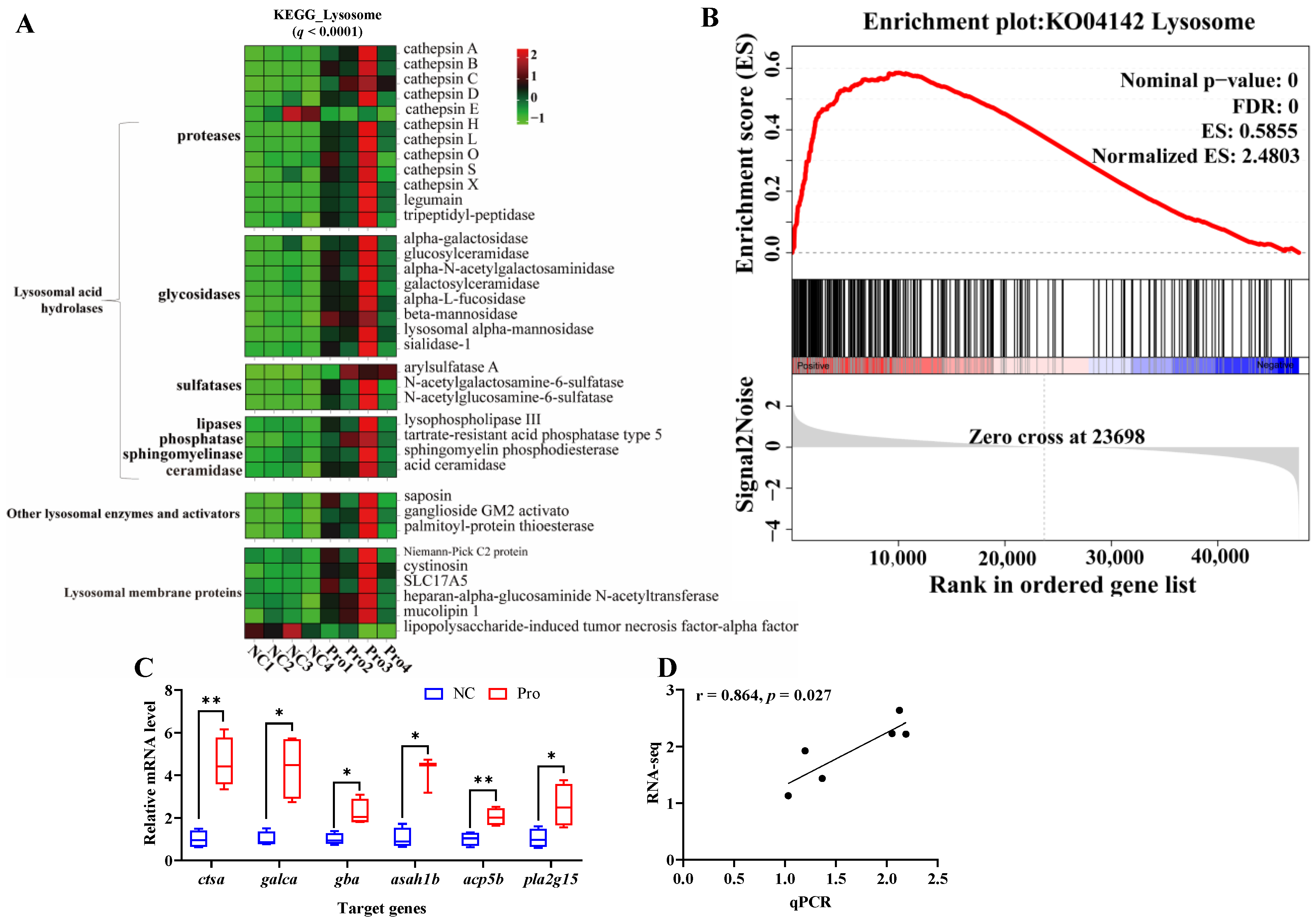 Antioxidants 12 02095 g004