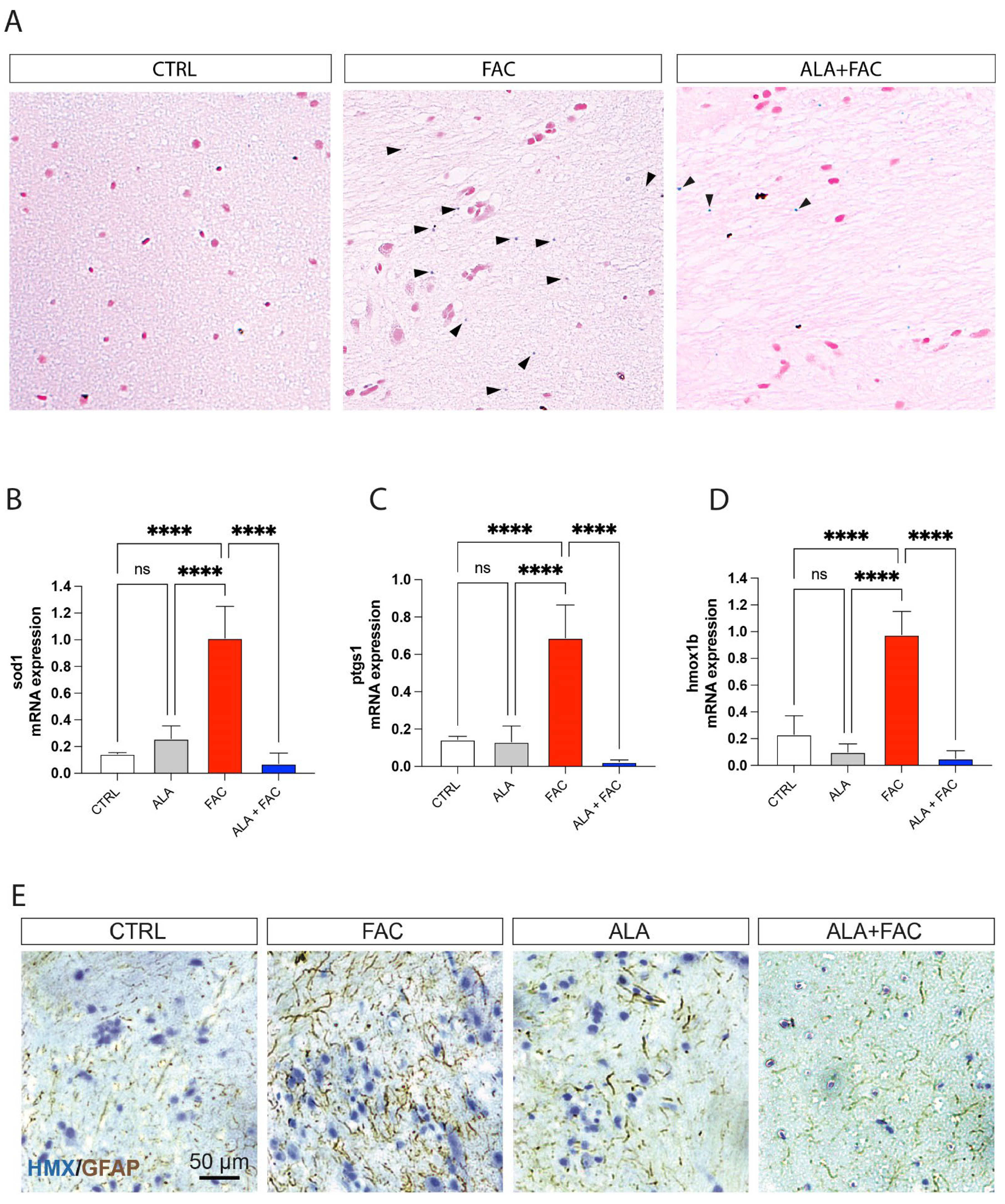 Antioxidants 12 02099 g001