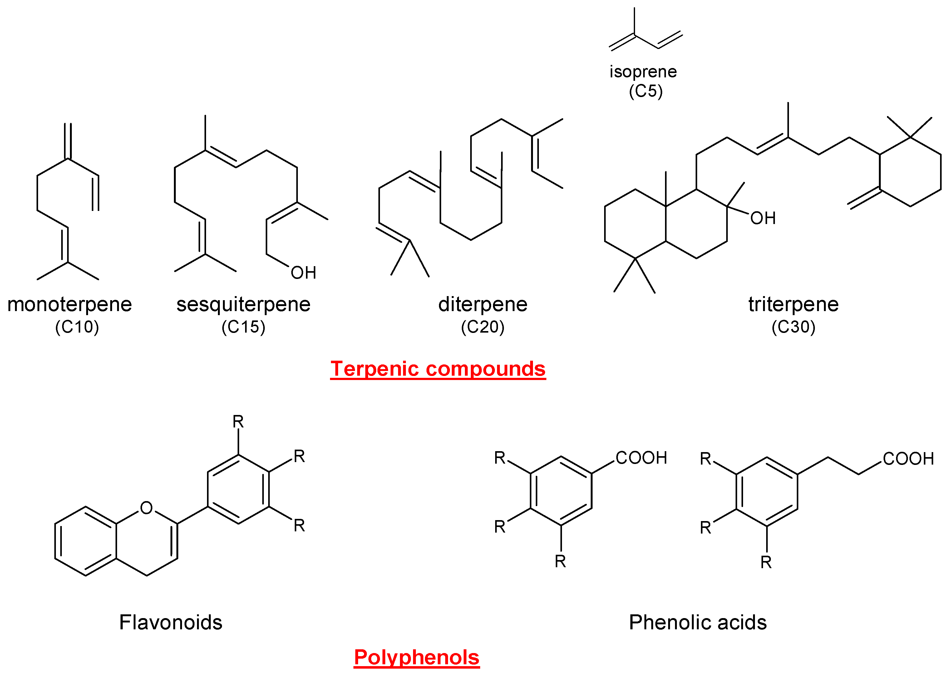Antioxidants 12 02106 g002