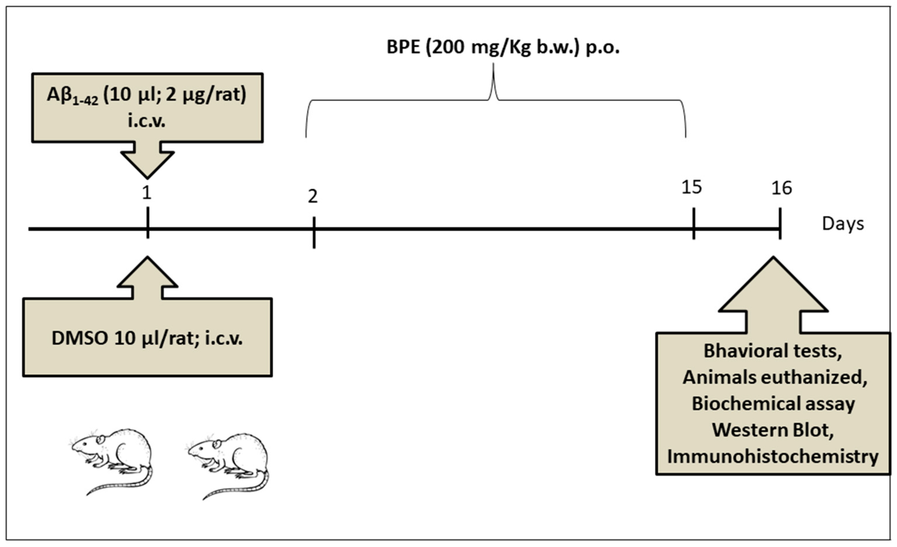 Antioxidants 12 02110 g001