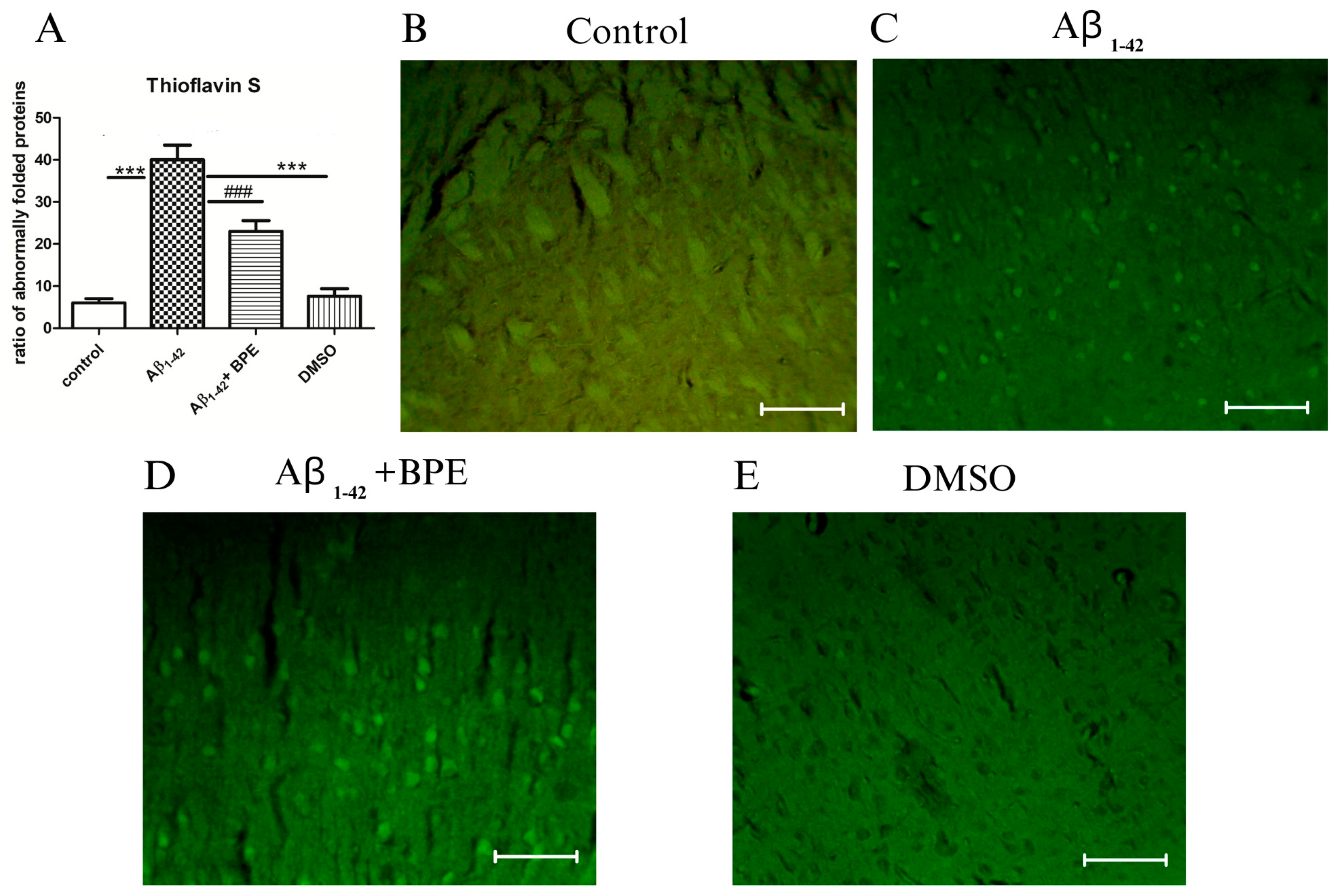 Antioxidants 12 02110 g008