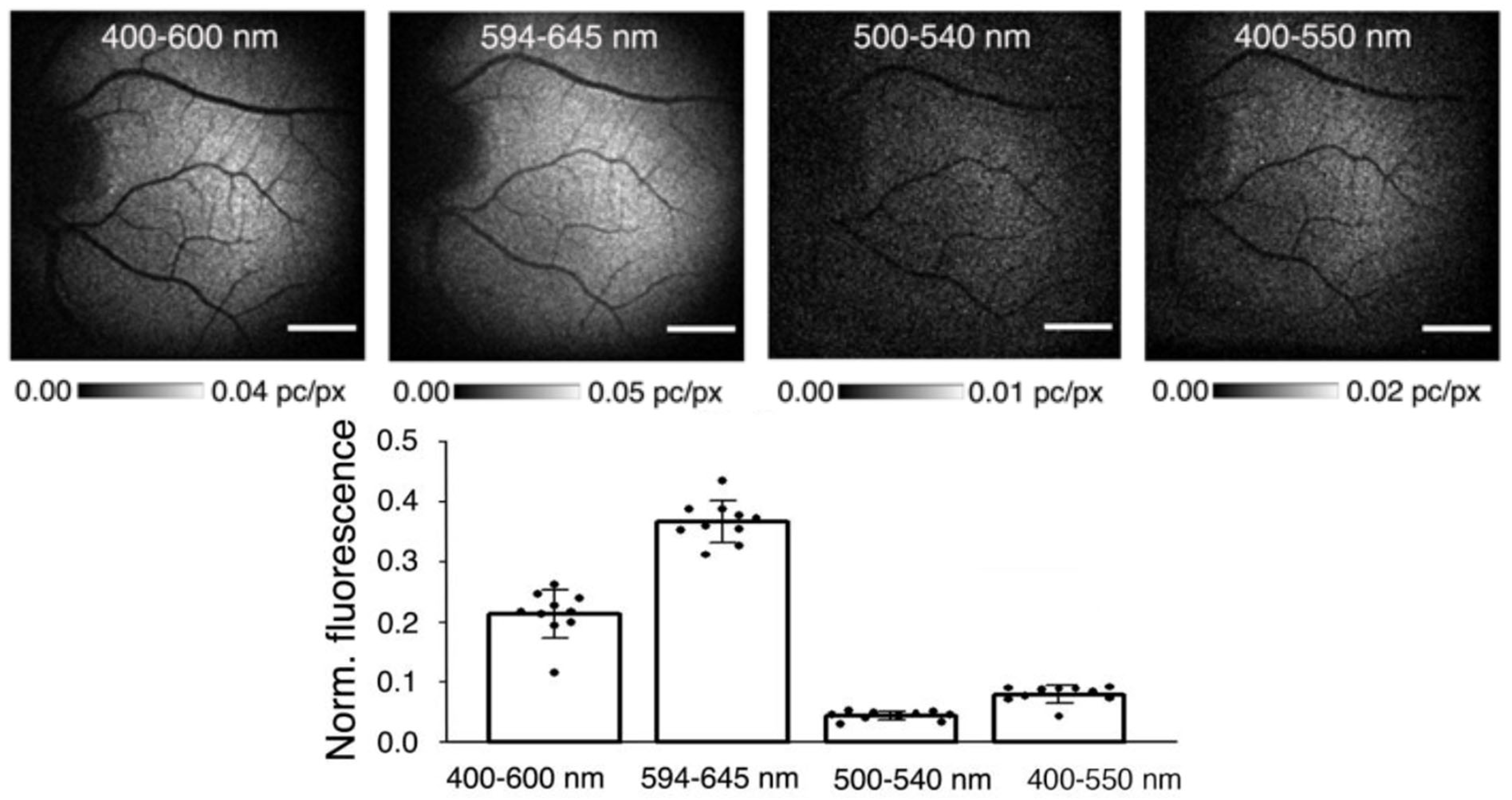 Antioxidants 12 02111 g010