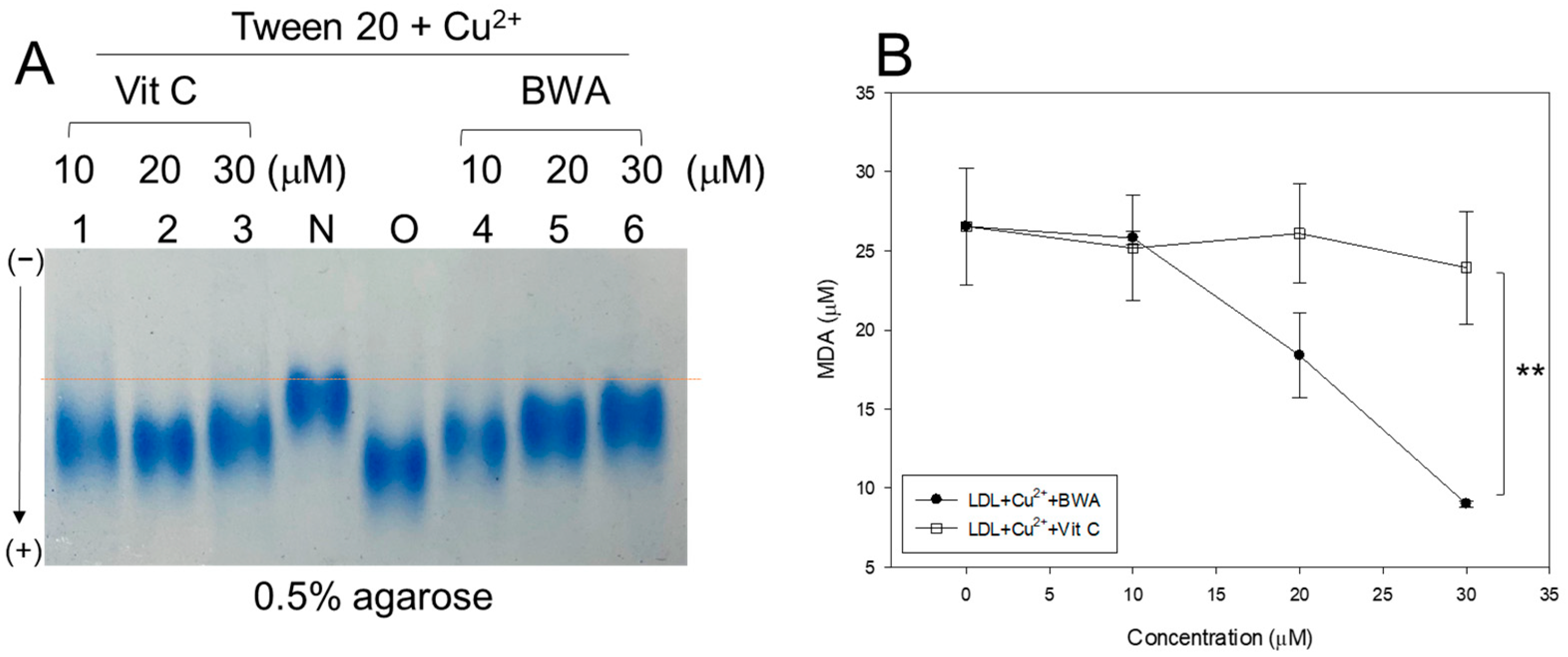 Antioxidants 12 02116 g001