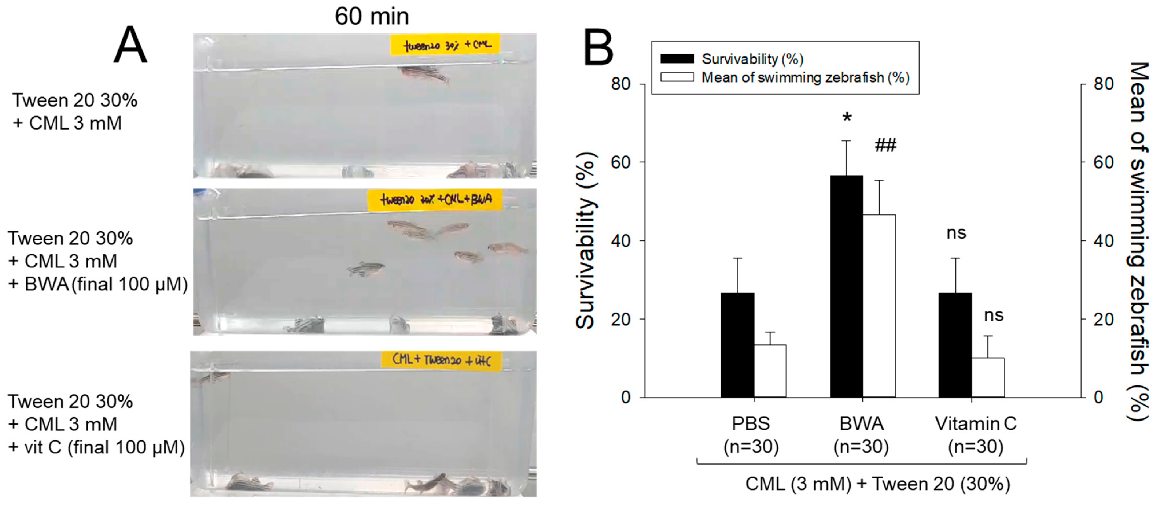 Antioxidants 12 02116 g003