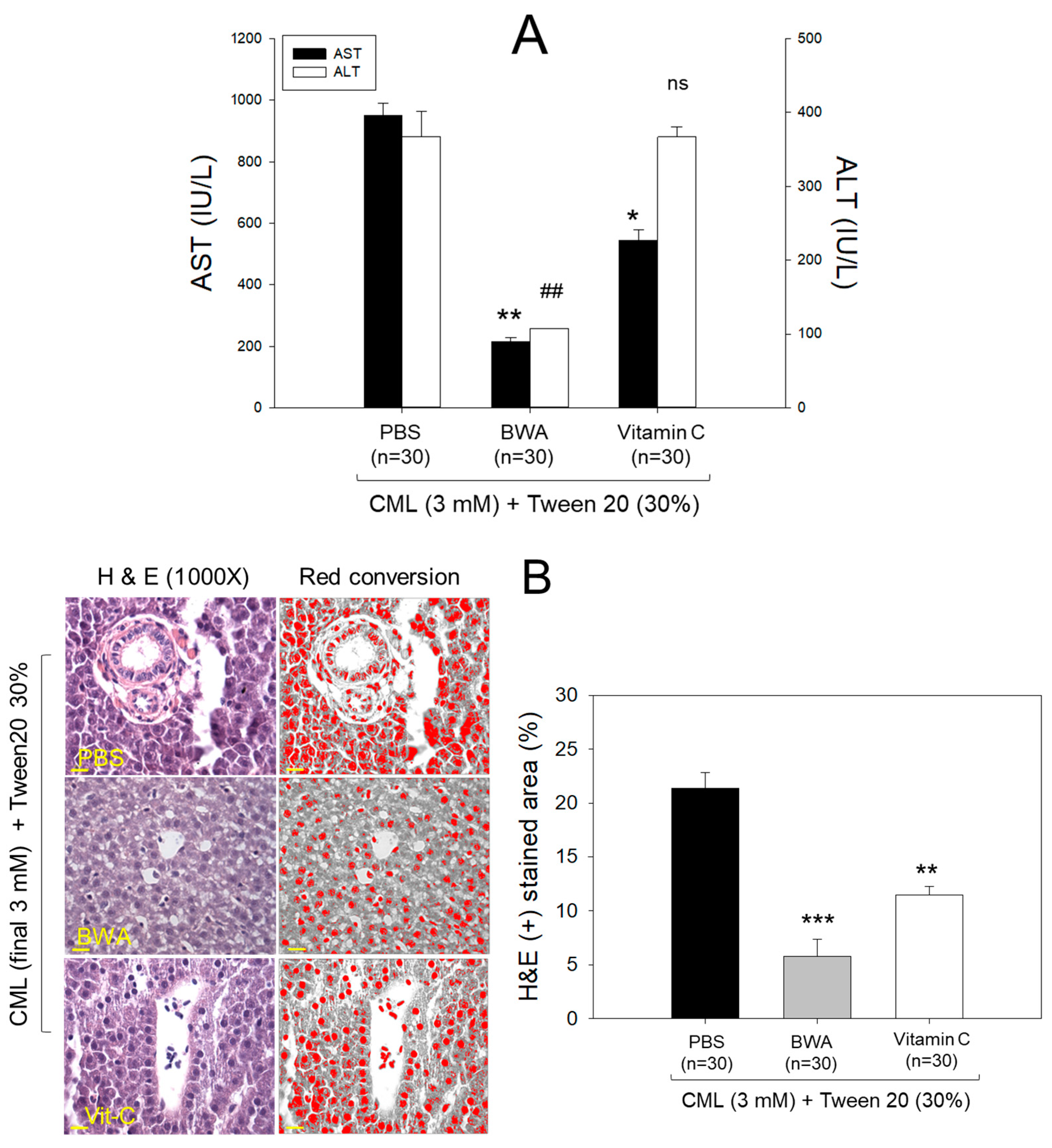 Antioxidants 12 02116 g004