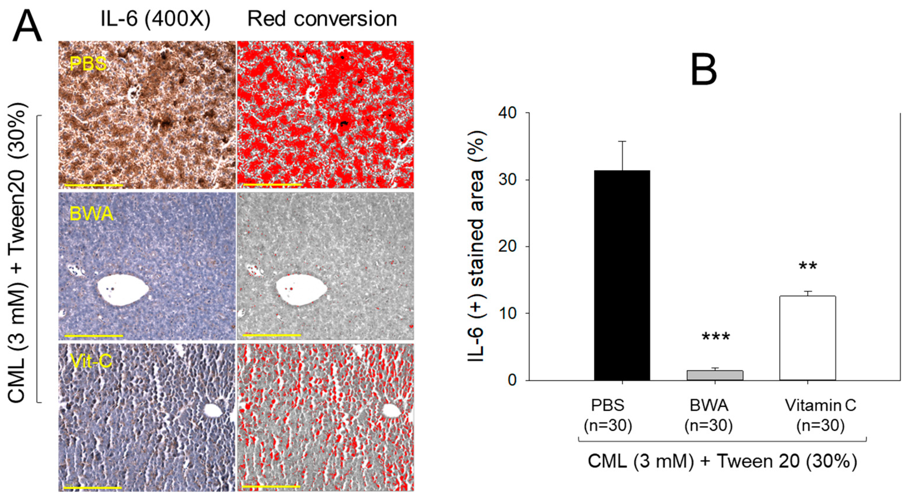 Antioxidants 12 02116 g005