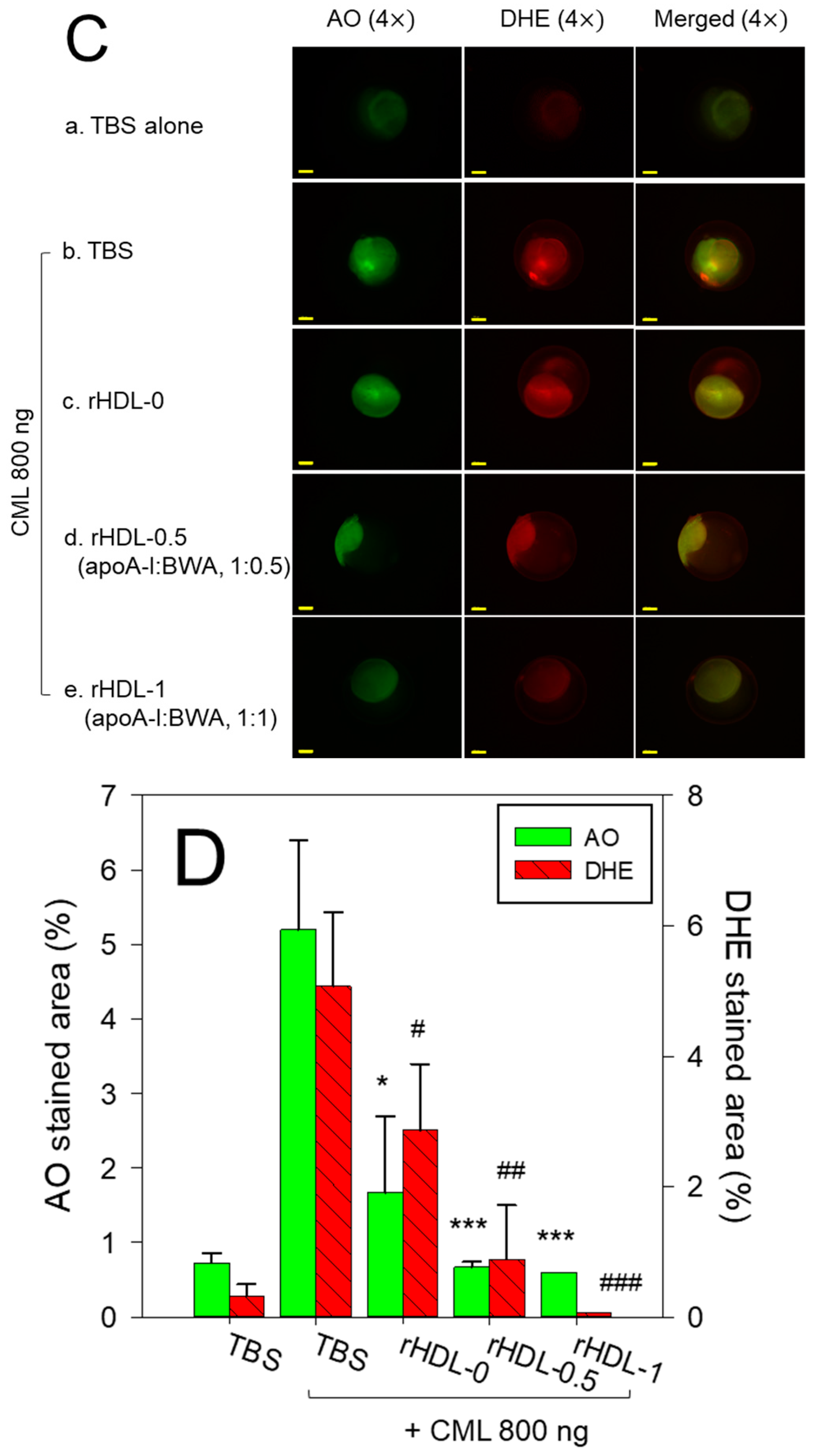 Antioxidants 12 02116 g011b