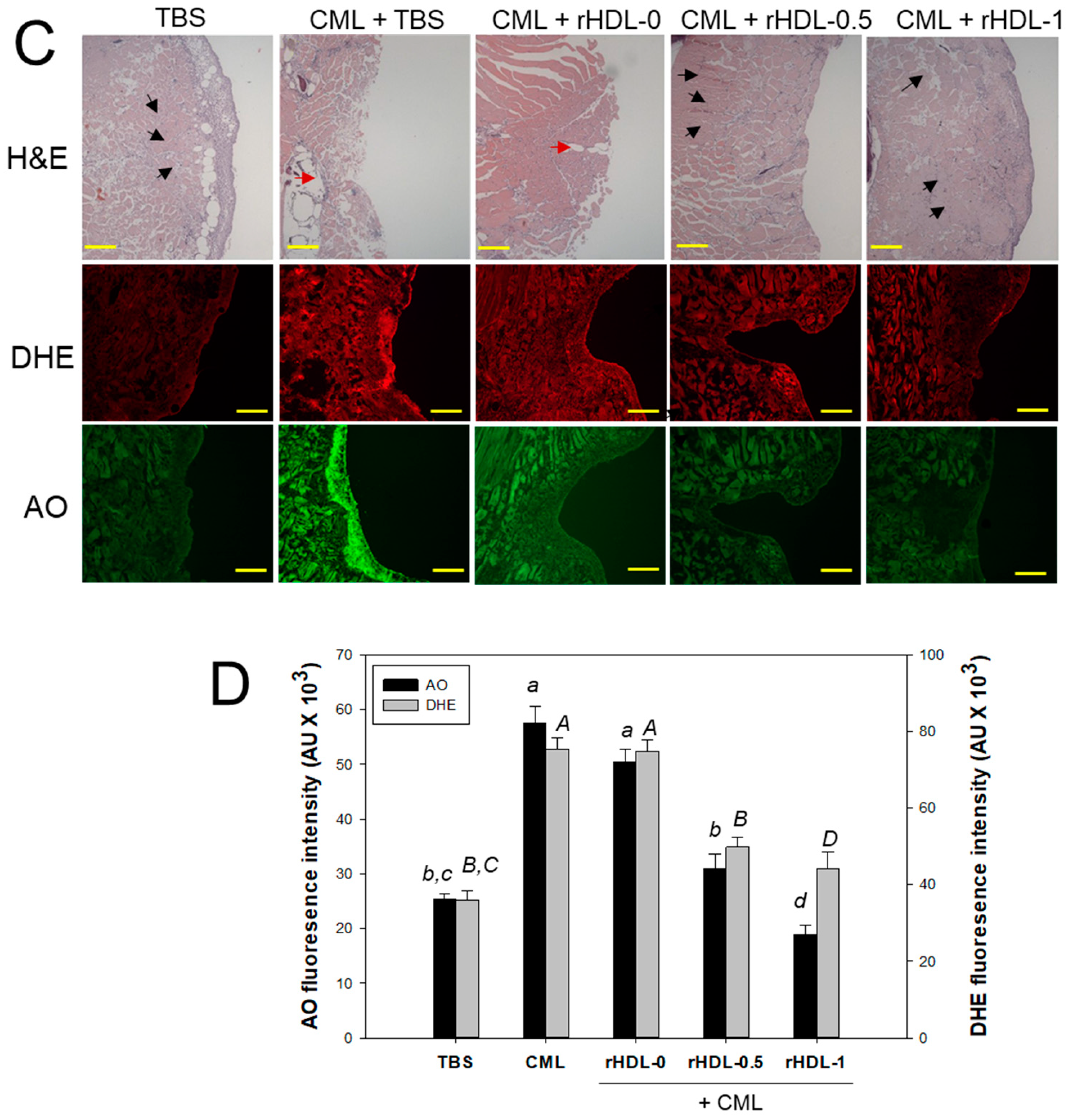 Antioxidants 12 02116 g012b