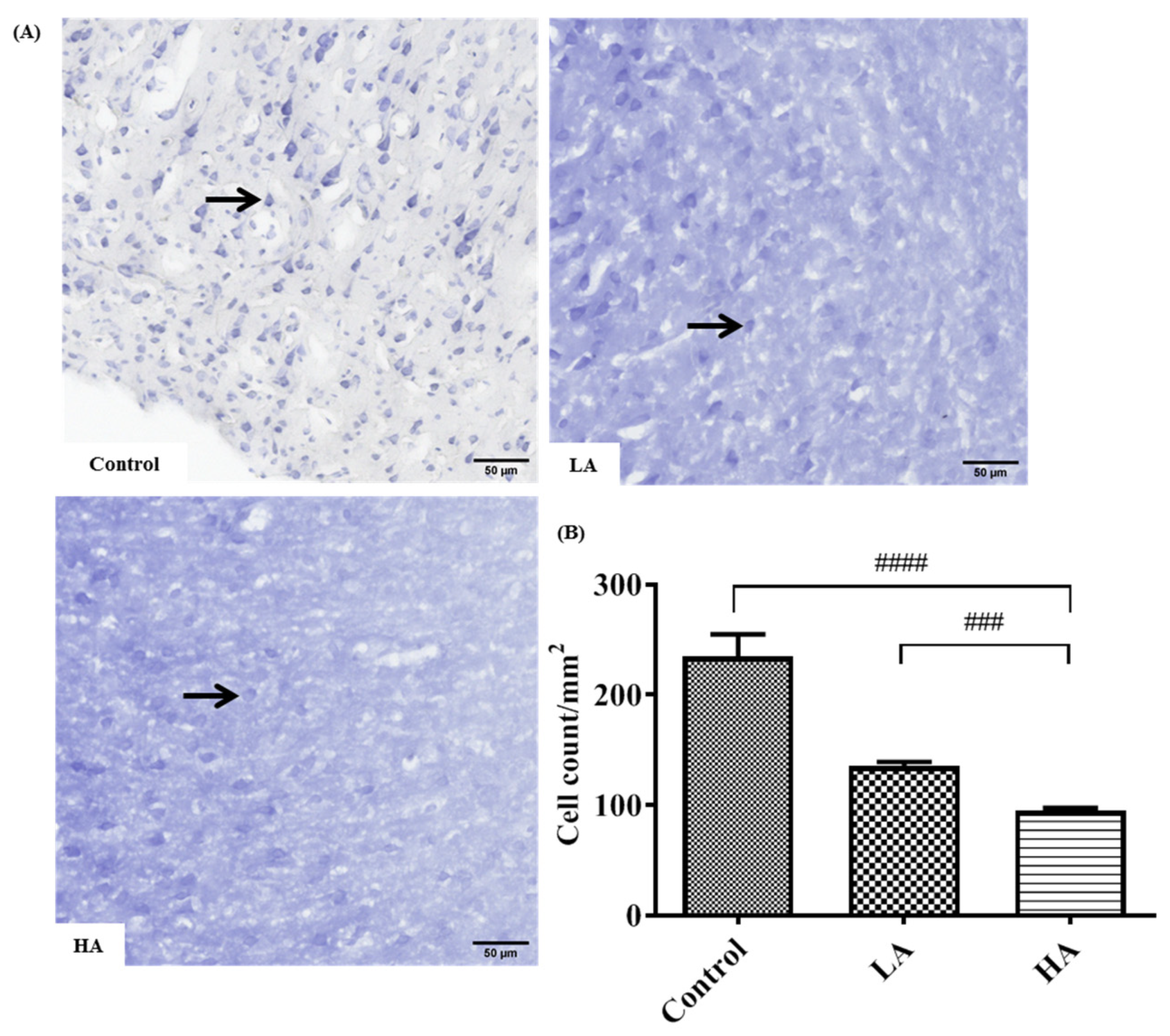 Antioxidants 13 00002 g003 Antioxidants 13 00002 g003