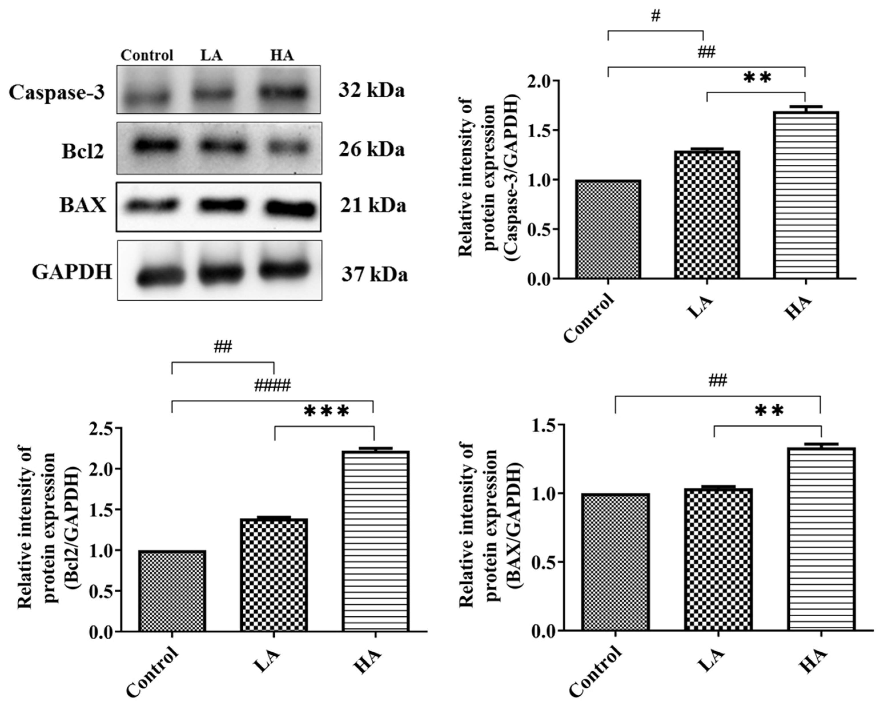 Antioxidants 13 00002 g009 Antioxidants 13 00002 g009