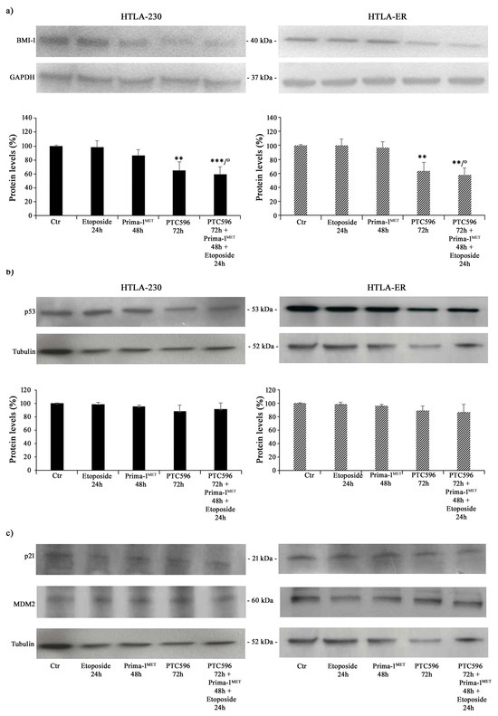 PTC596-Induced BMI-1 Inhibition Fights Neuroblastoma