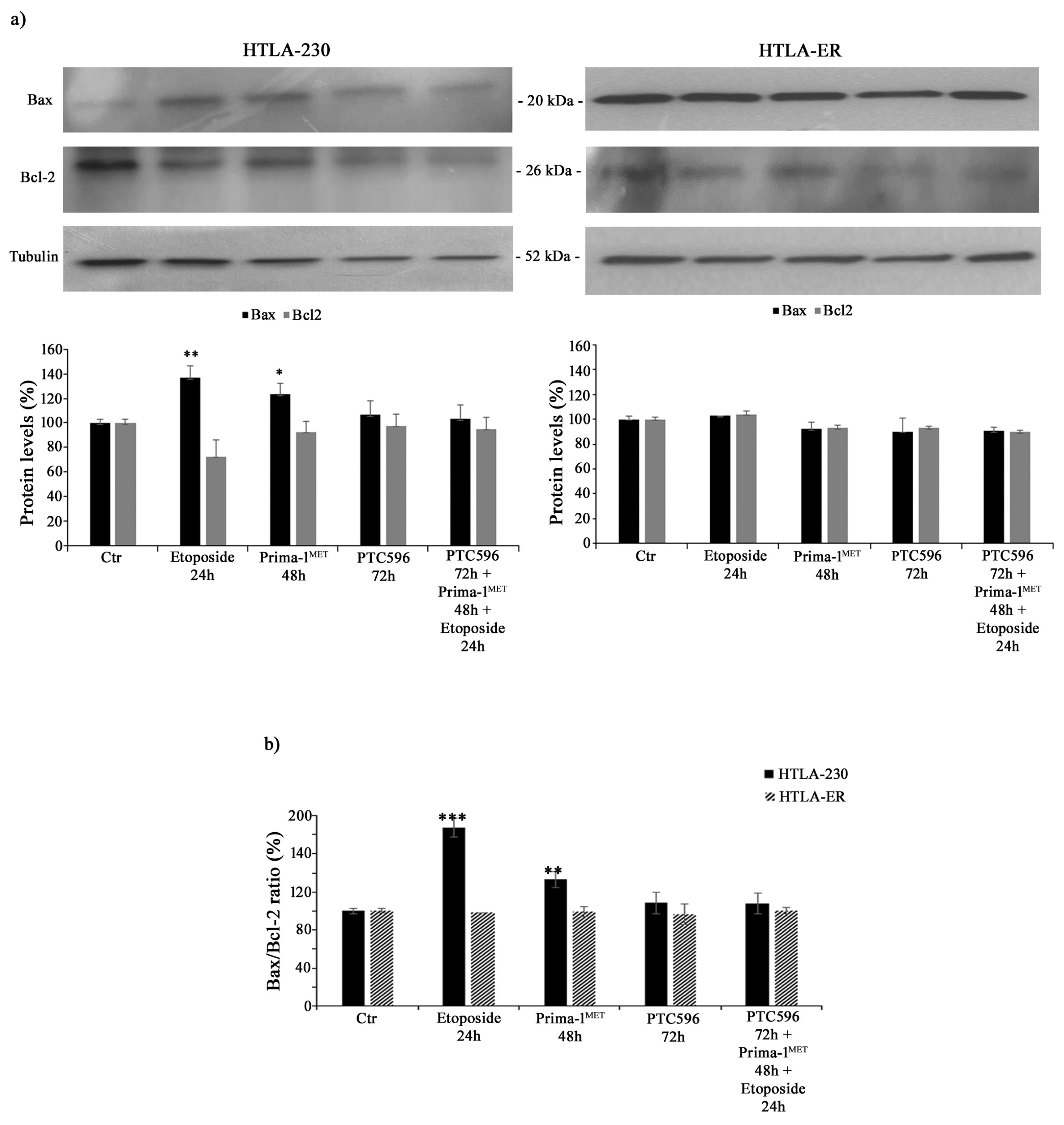 Antioxidants 13 00003 g005