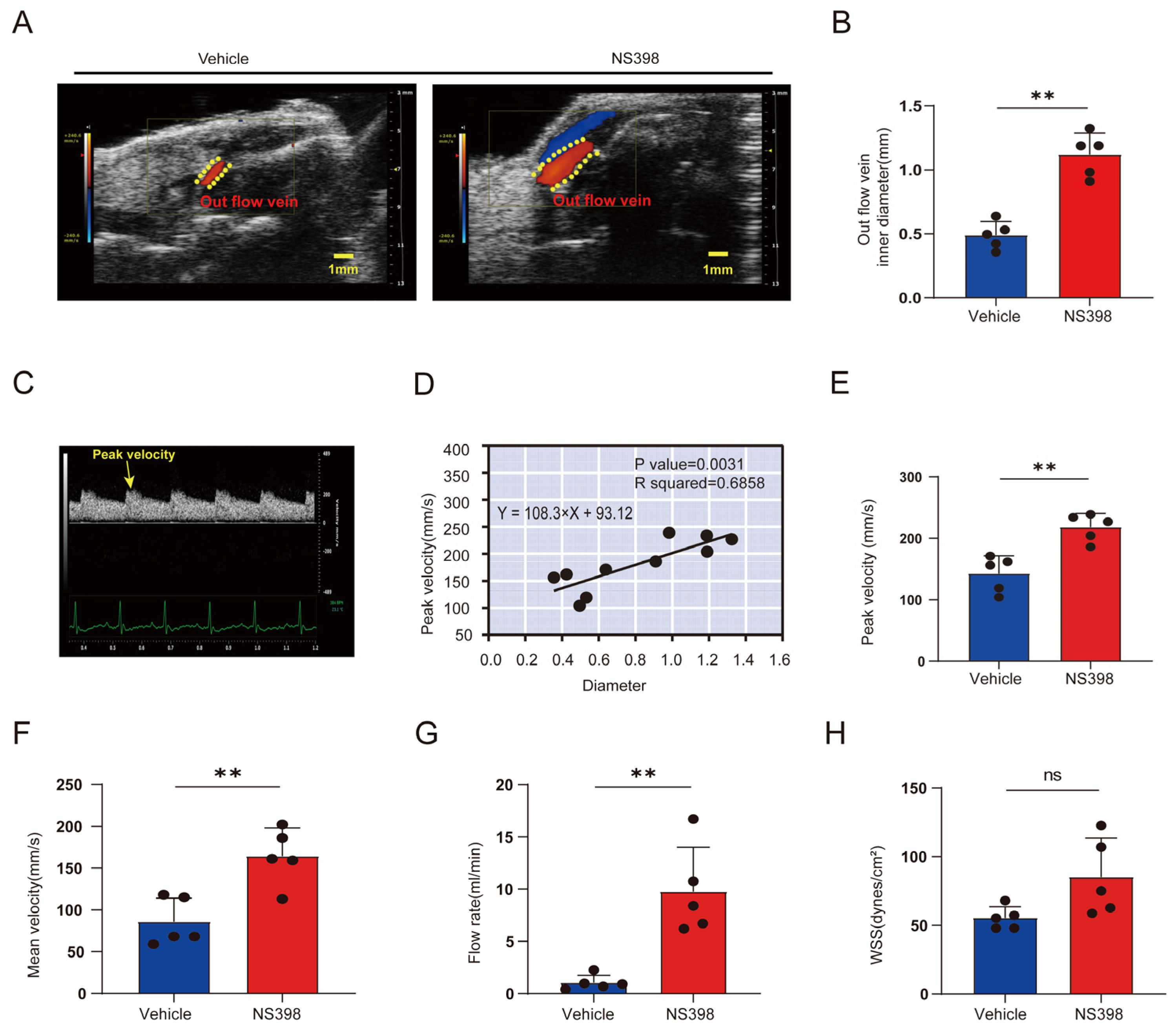 Antioxidants 13 00005 g006