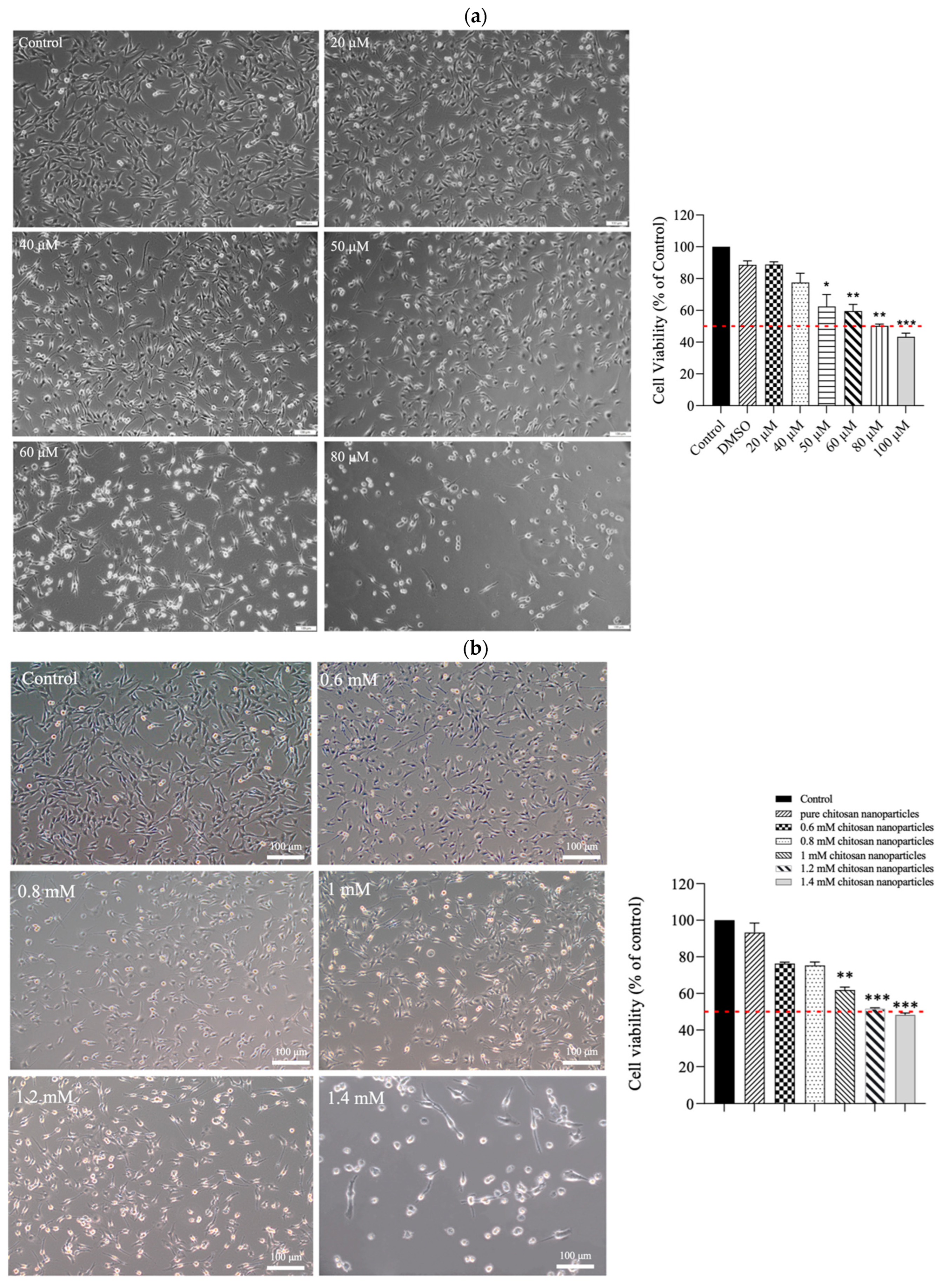 Antioxidants 13 00006 g004a