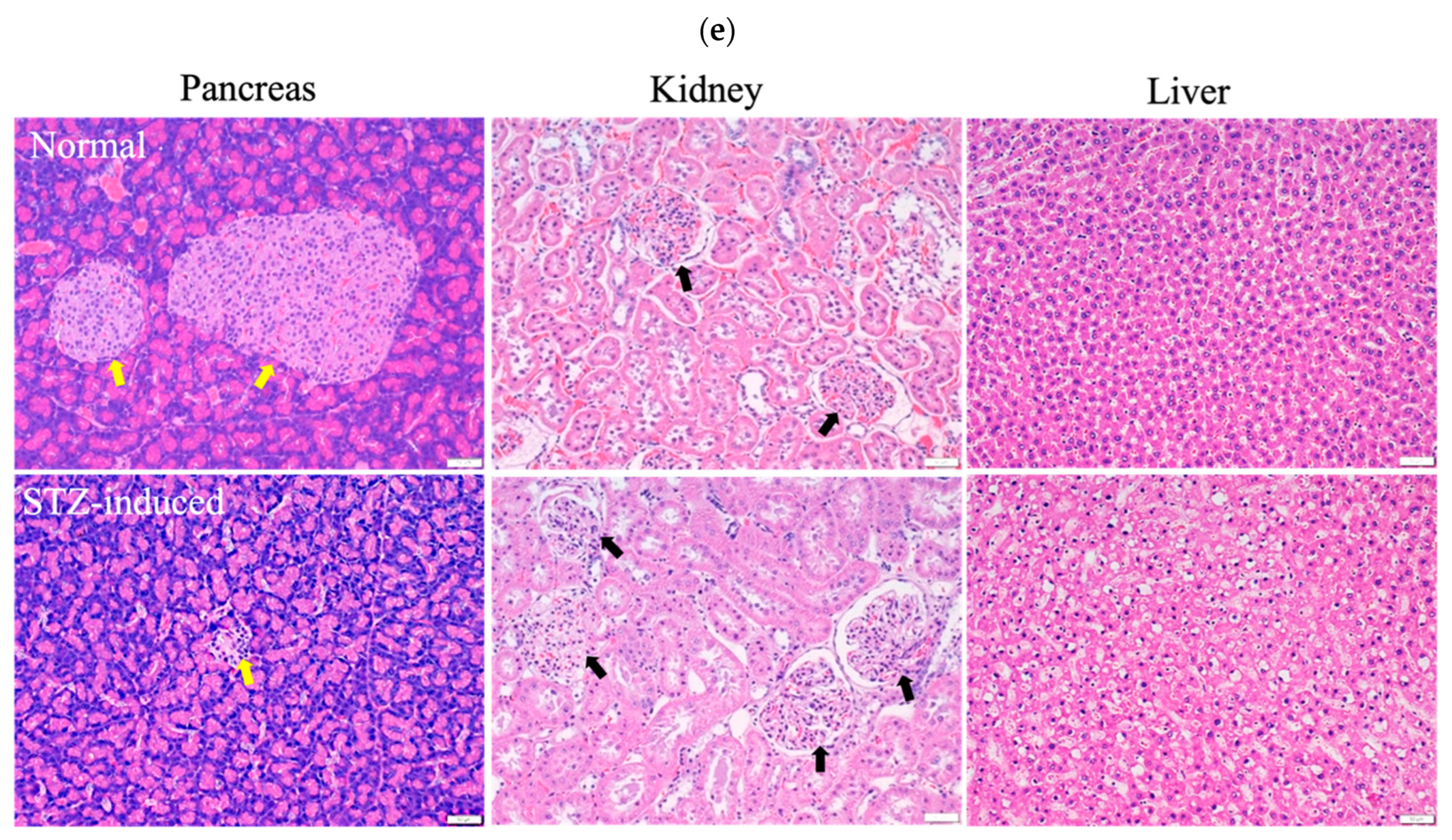 Antioxidants 13 00006 g005b