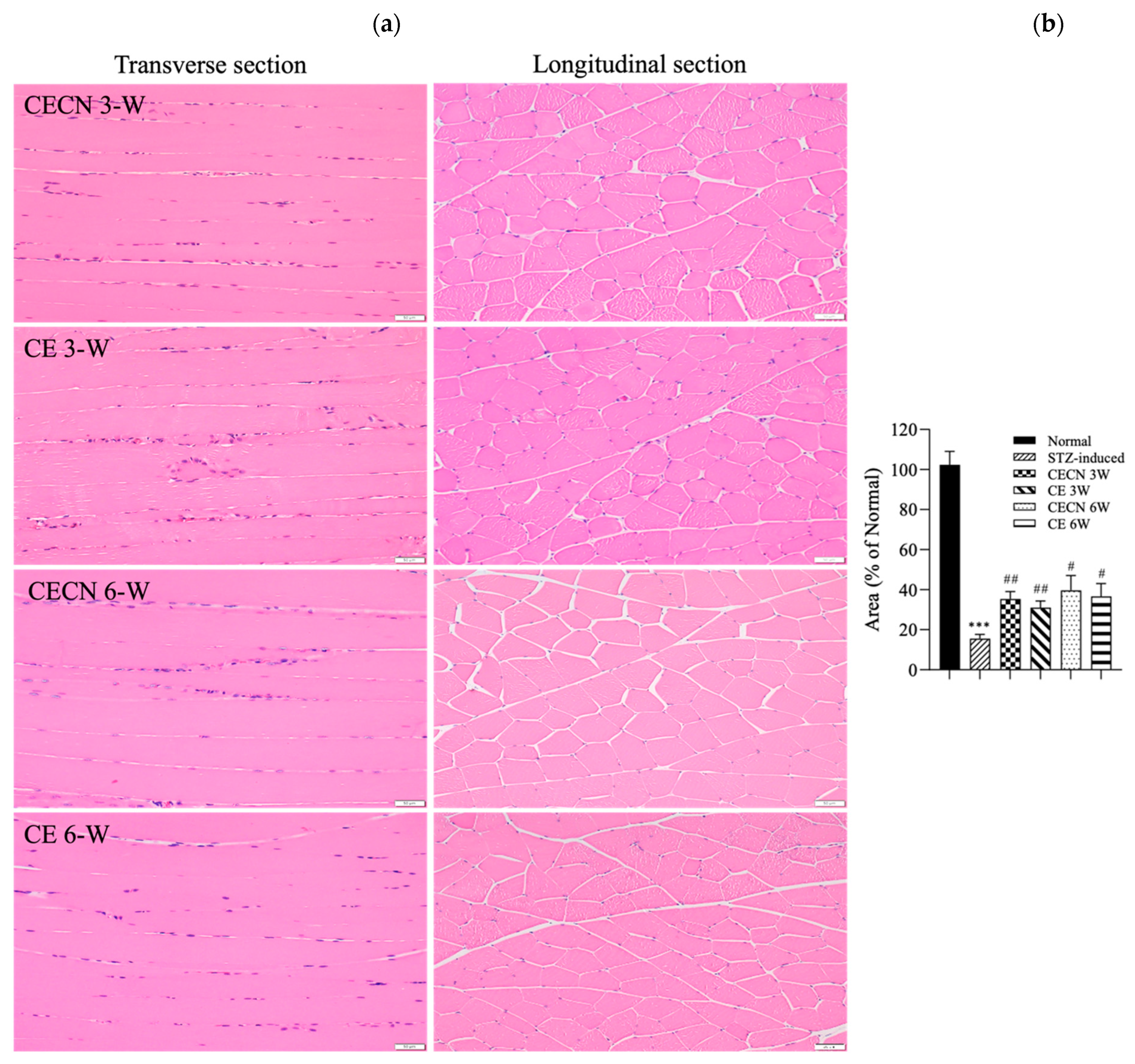 Antioxidants 13 00006 g006