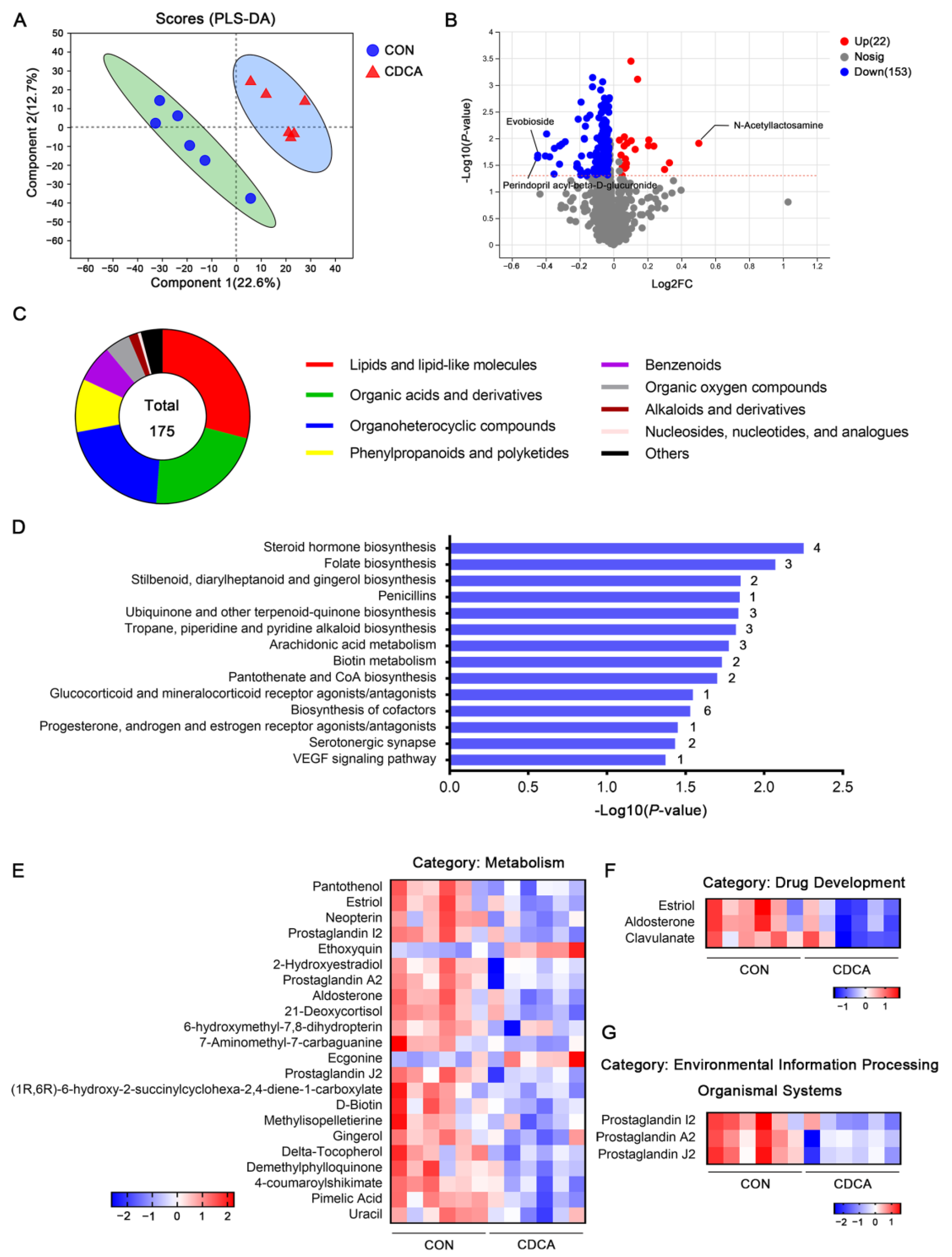 Antioxidants 13 00008 g006