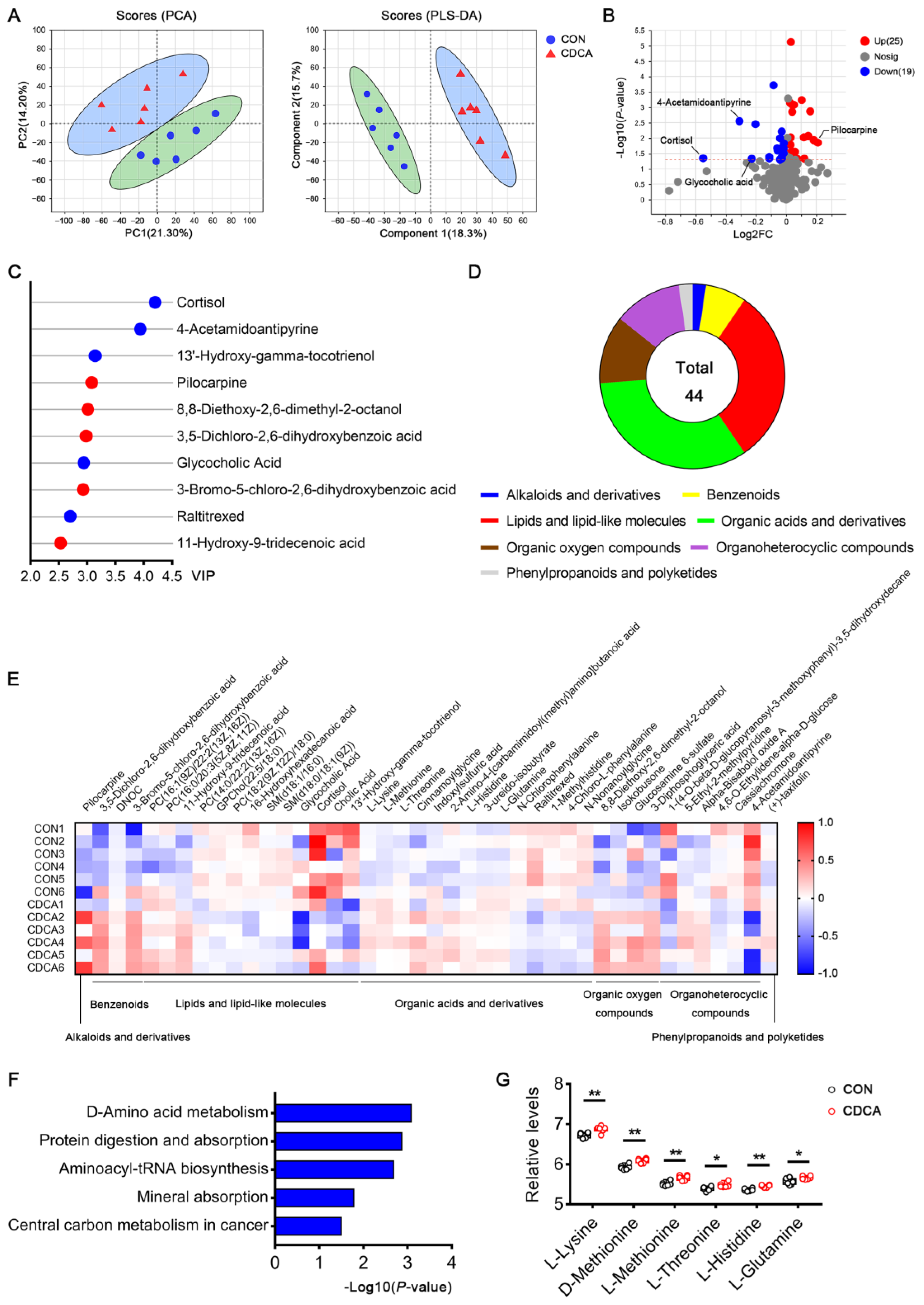 Antioxidants 13 00008 g008