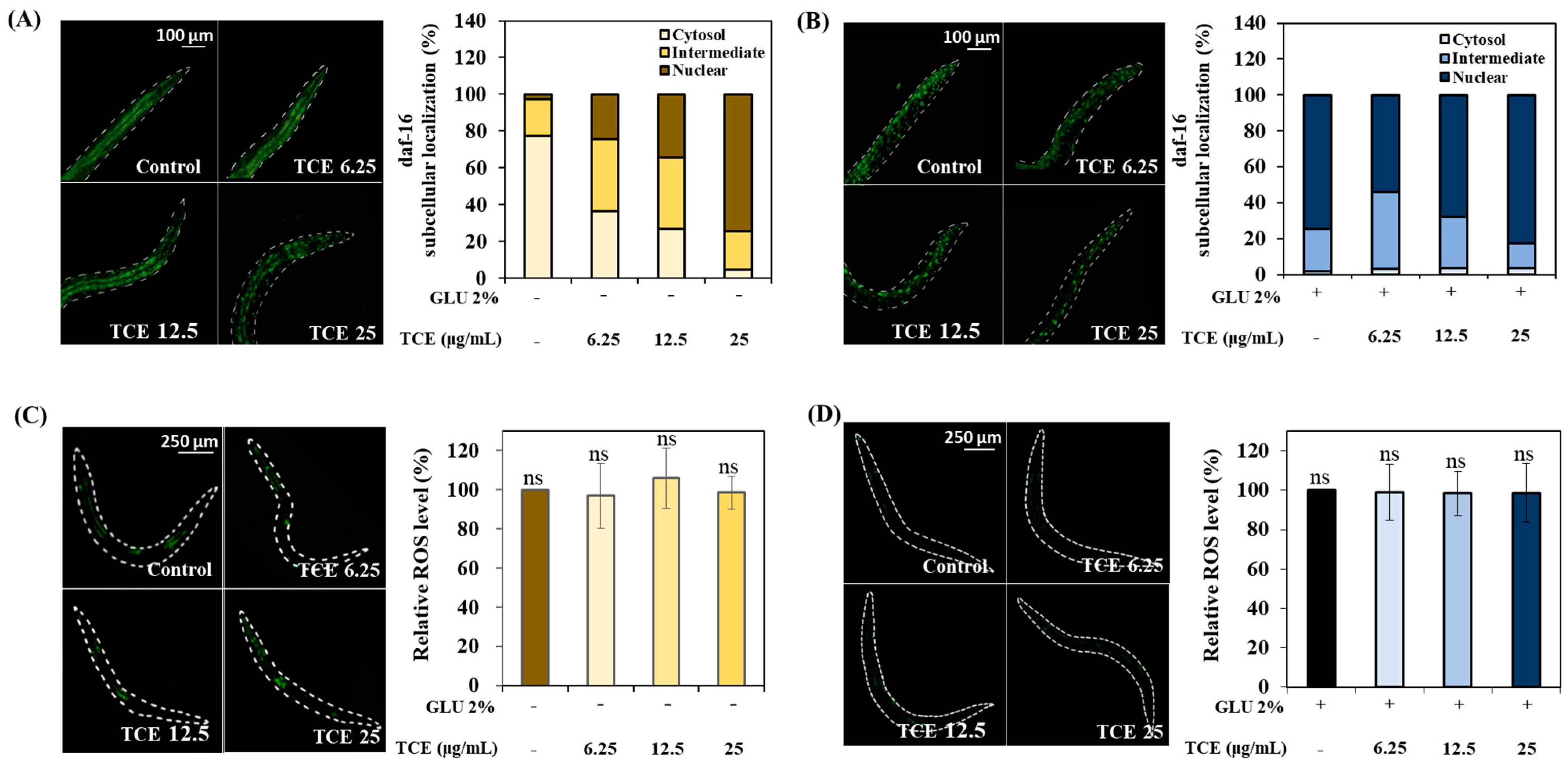 Antioxidants 13 00014 g007