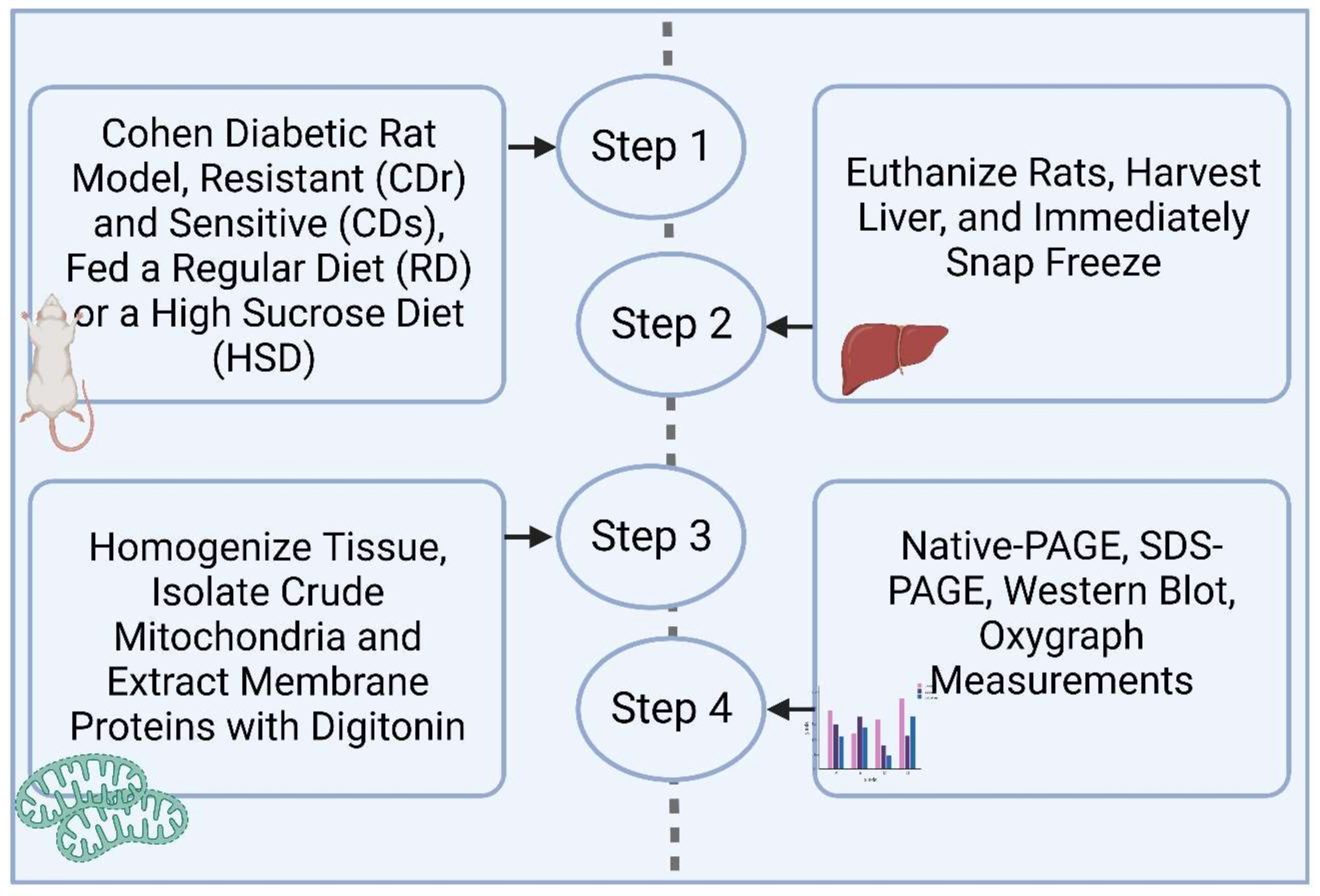 Antioxidants 13 00019 g001 Antioxidants 13 00019 g001