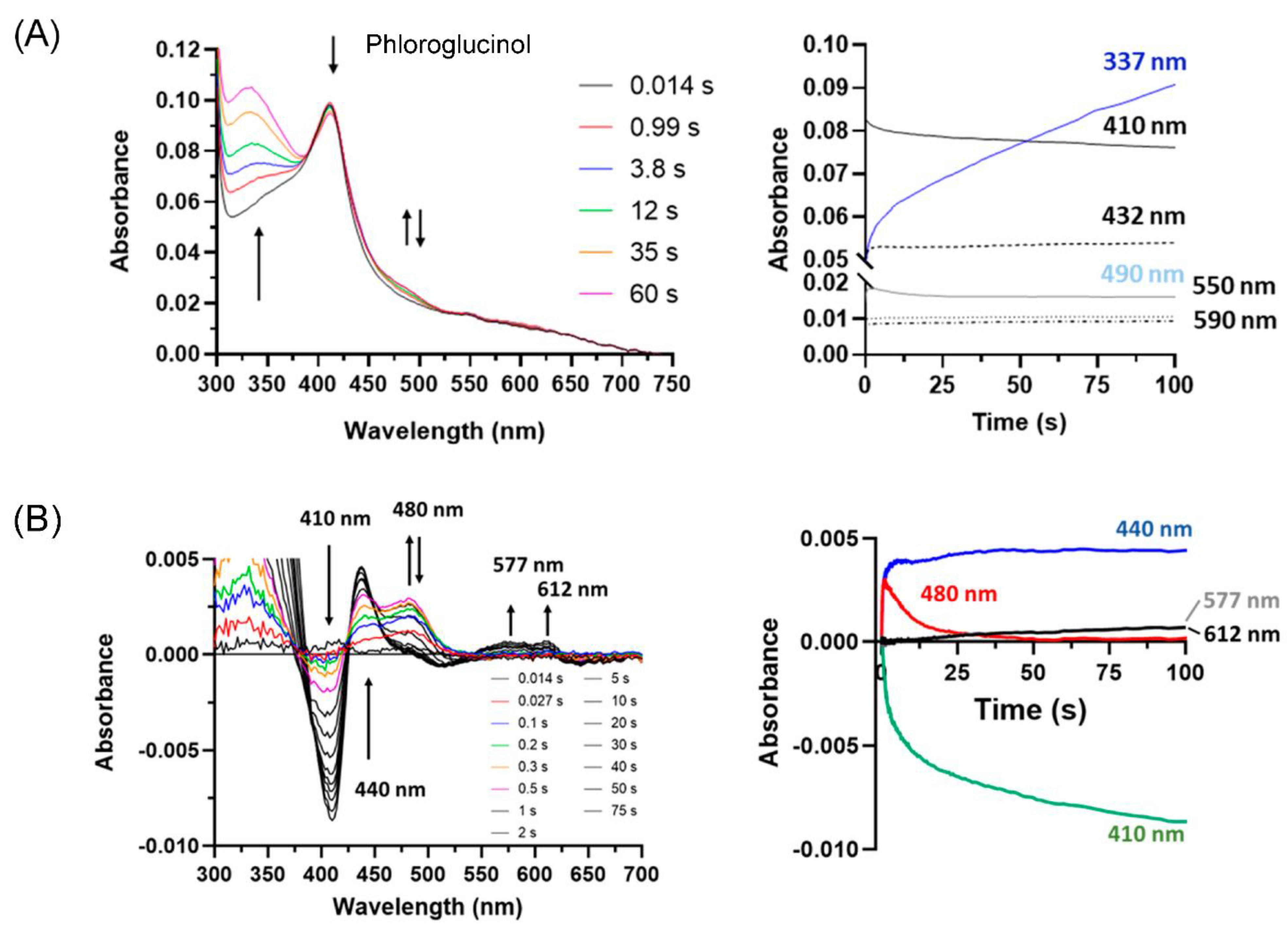 Antioxidants 13 00023 g007 Antioxidants 13 00023 g007