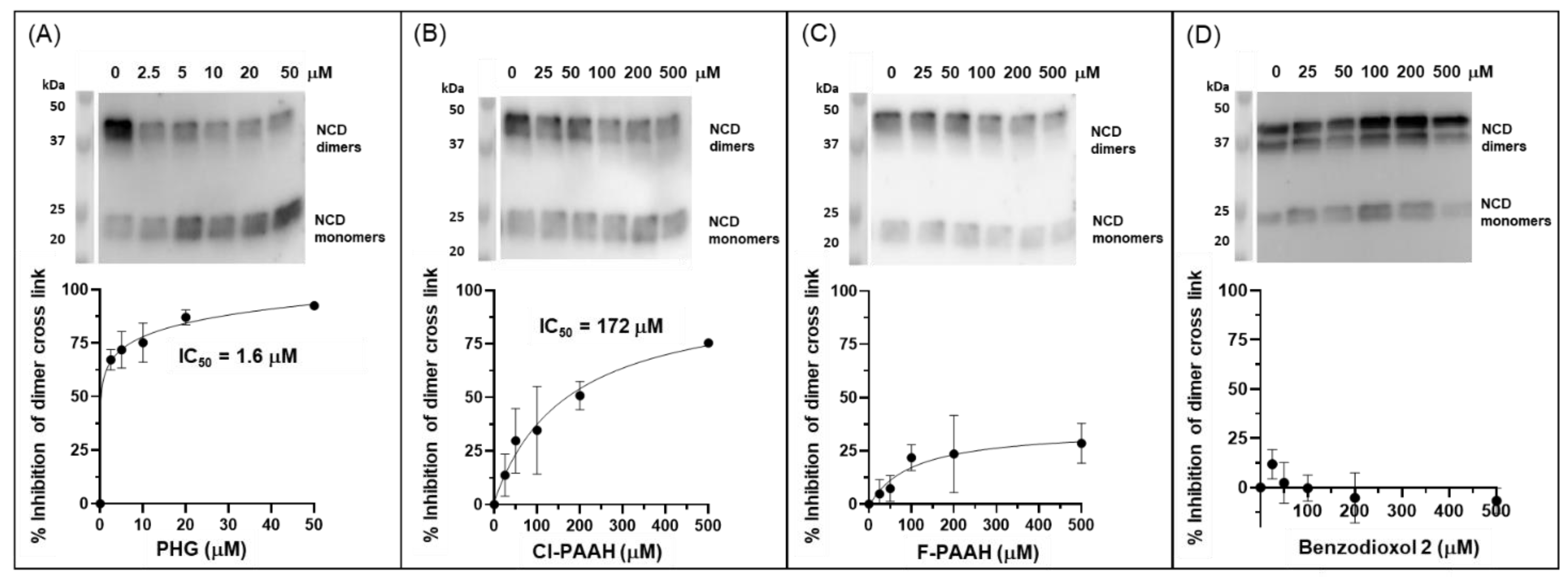 Antioxidants 13 00023 g009 Antioxidants 13 00023 g009