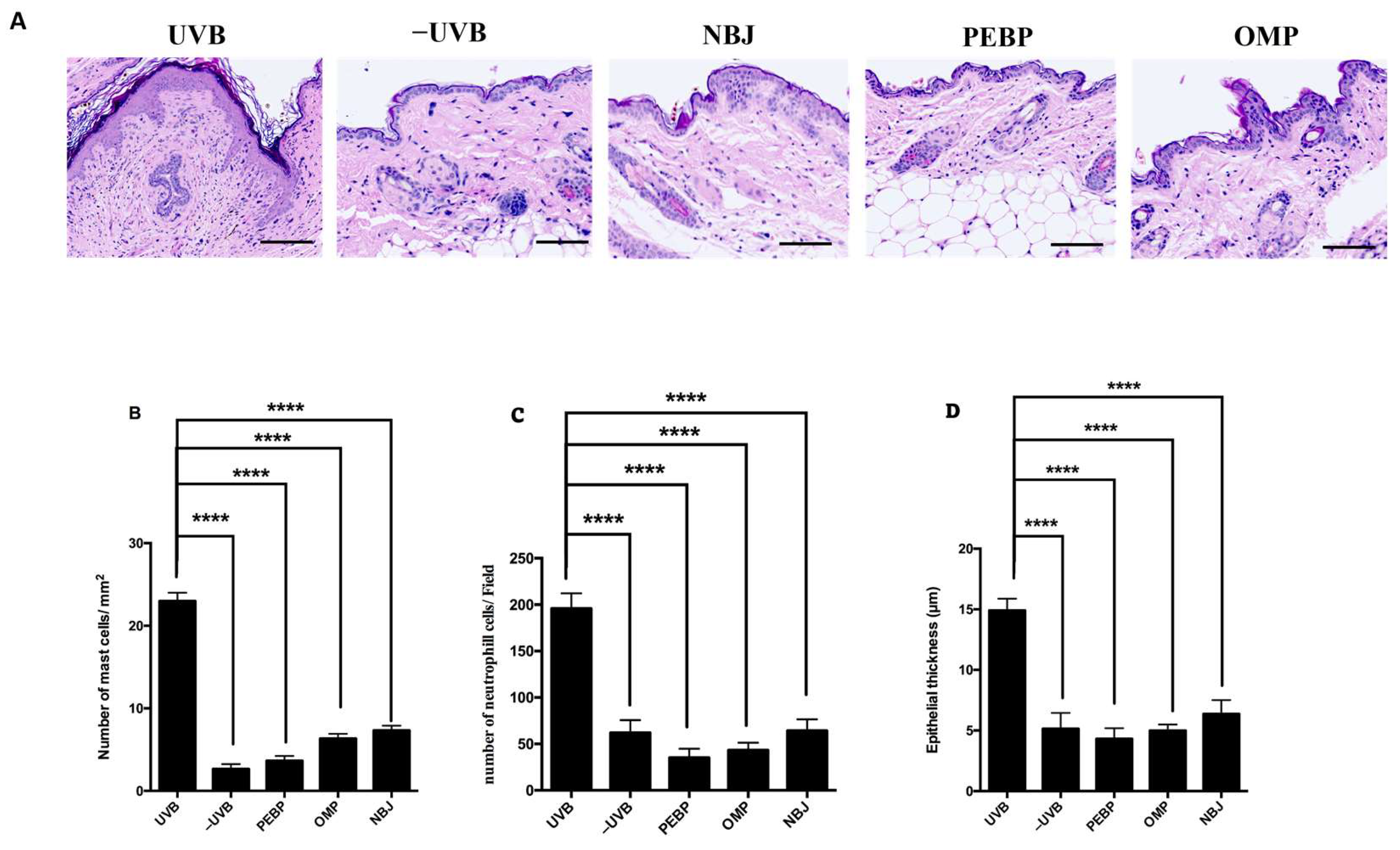 Antioxidants 13 00025 g001