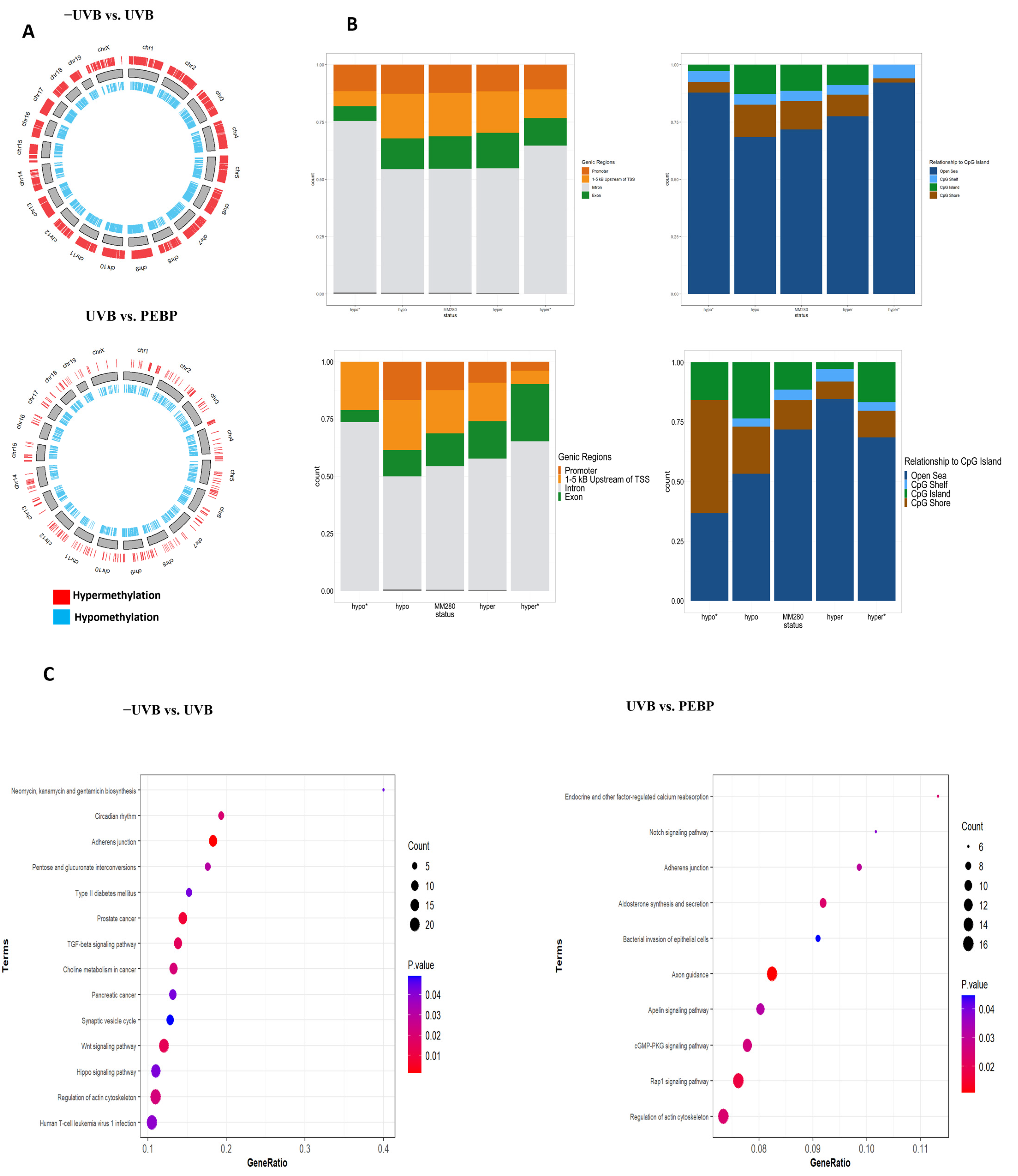 Antioxidants 13 00025 g005a