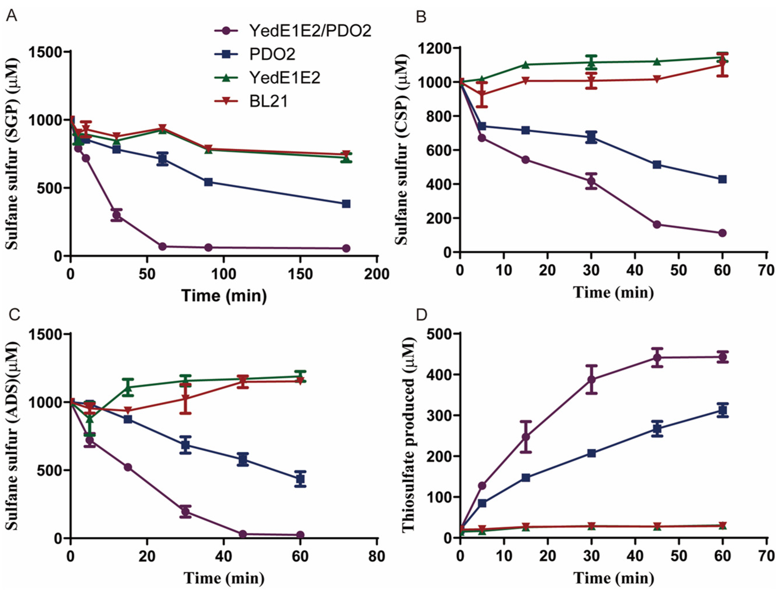 Antioxidants 13 00027 g005