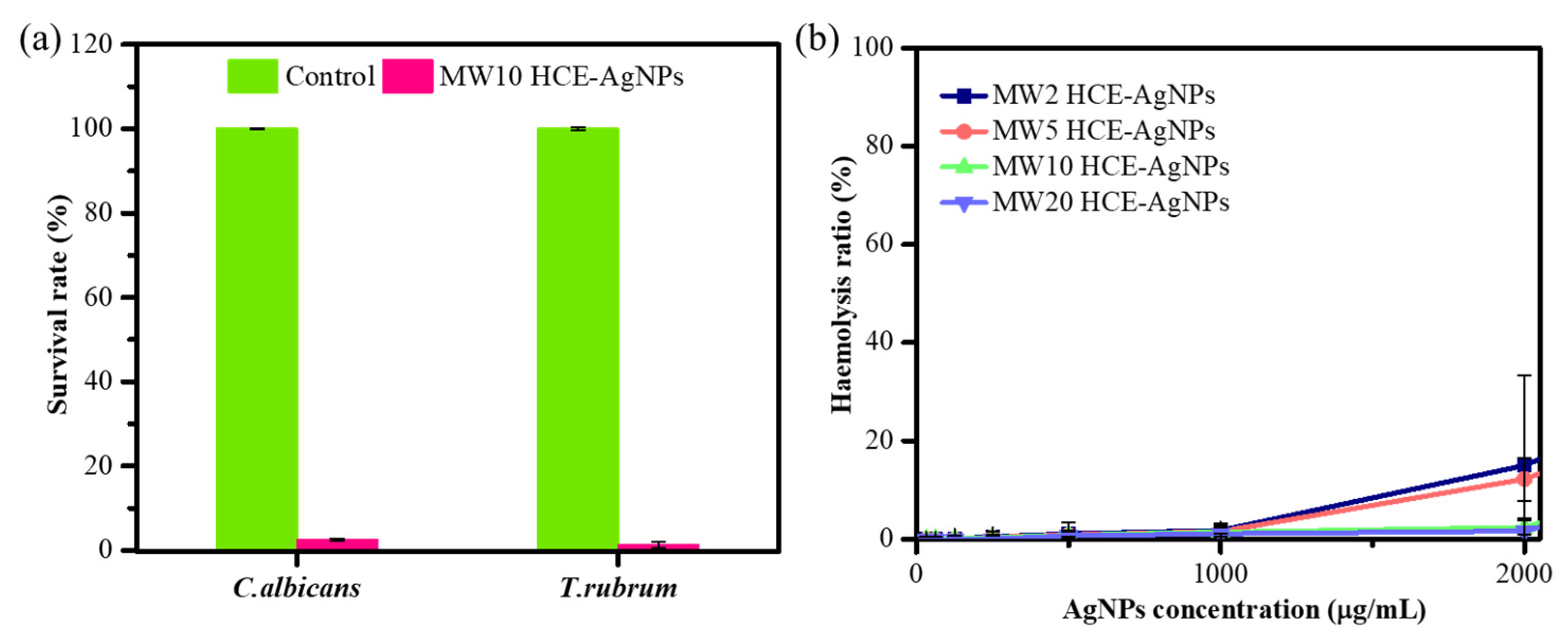 Antioxidants 13 00032 g006
