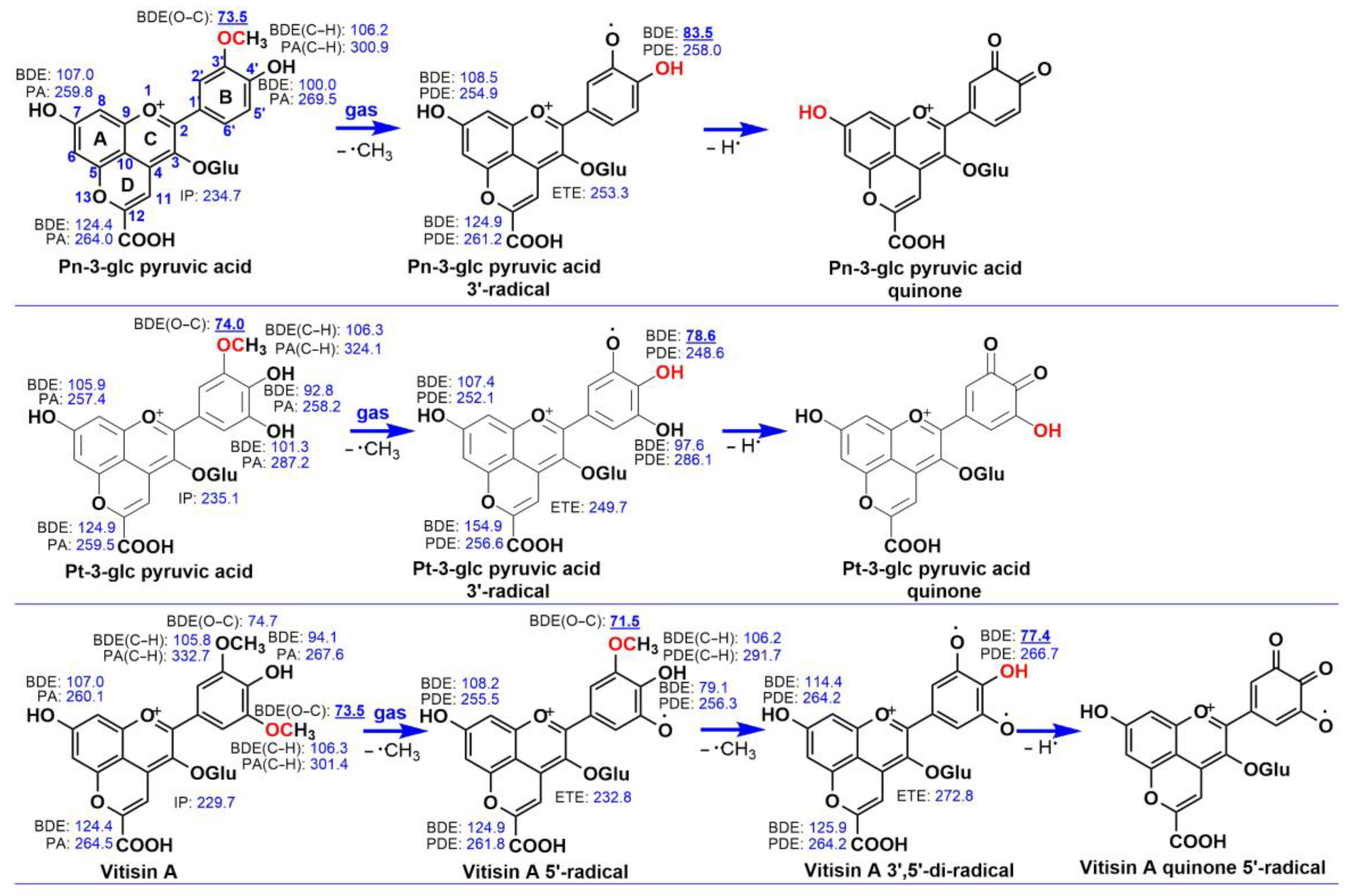 Antioxidants 13 00033 g002