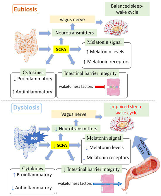 専用ページMサイズ Electrochemical Microneedles for Real-Time Monitoring in