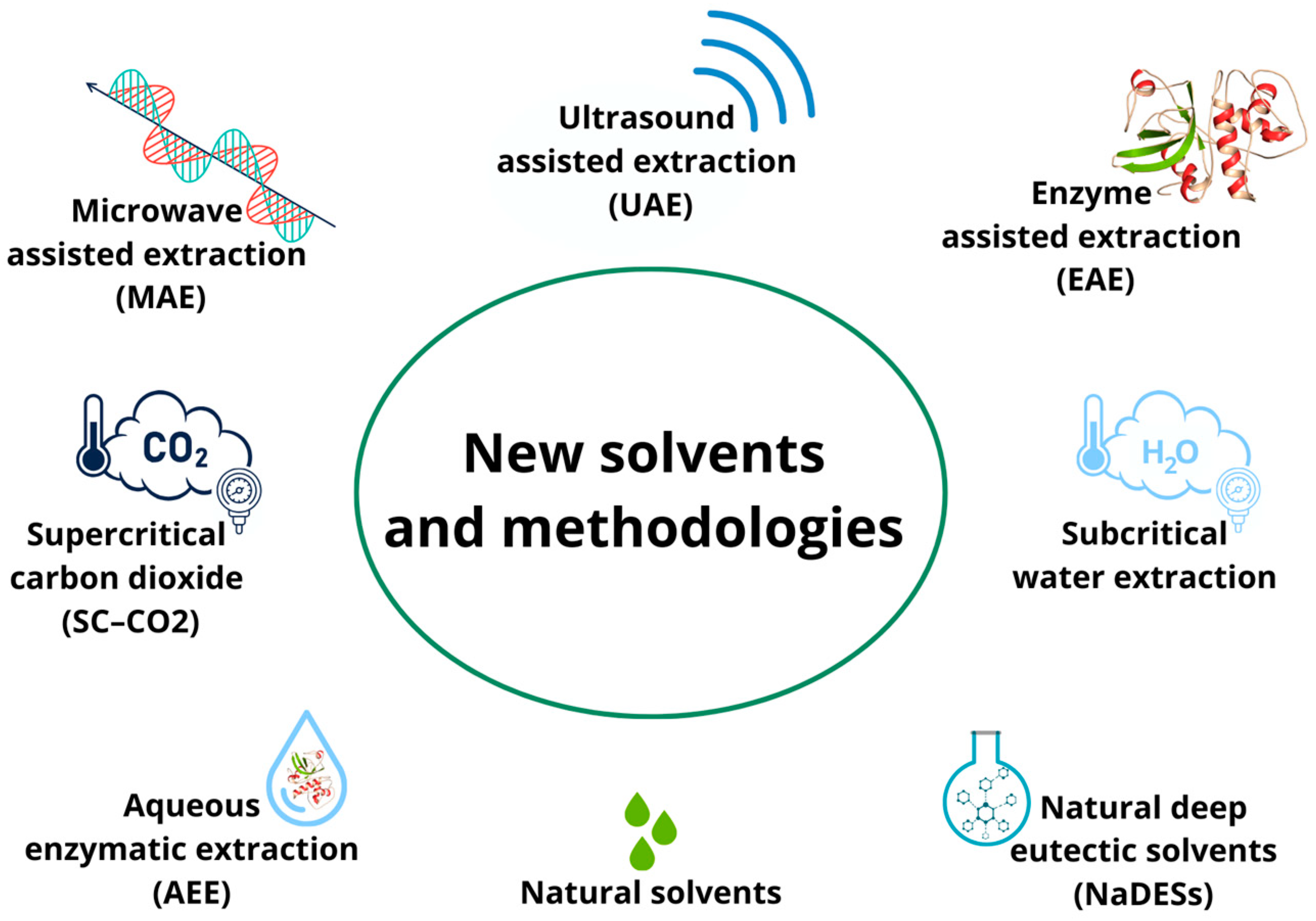 Antioxidants 13 00035 g002