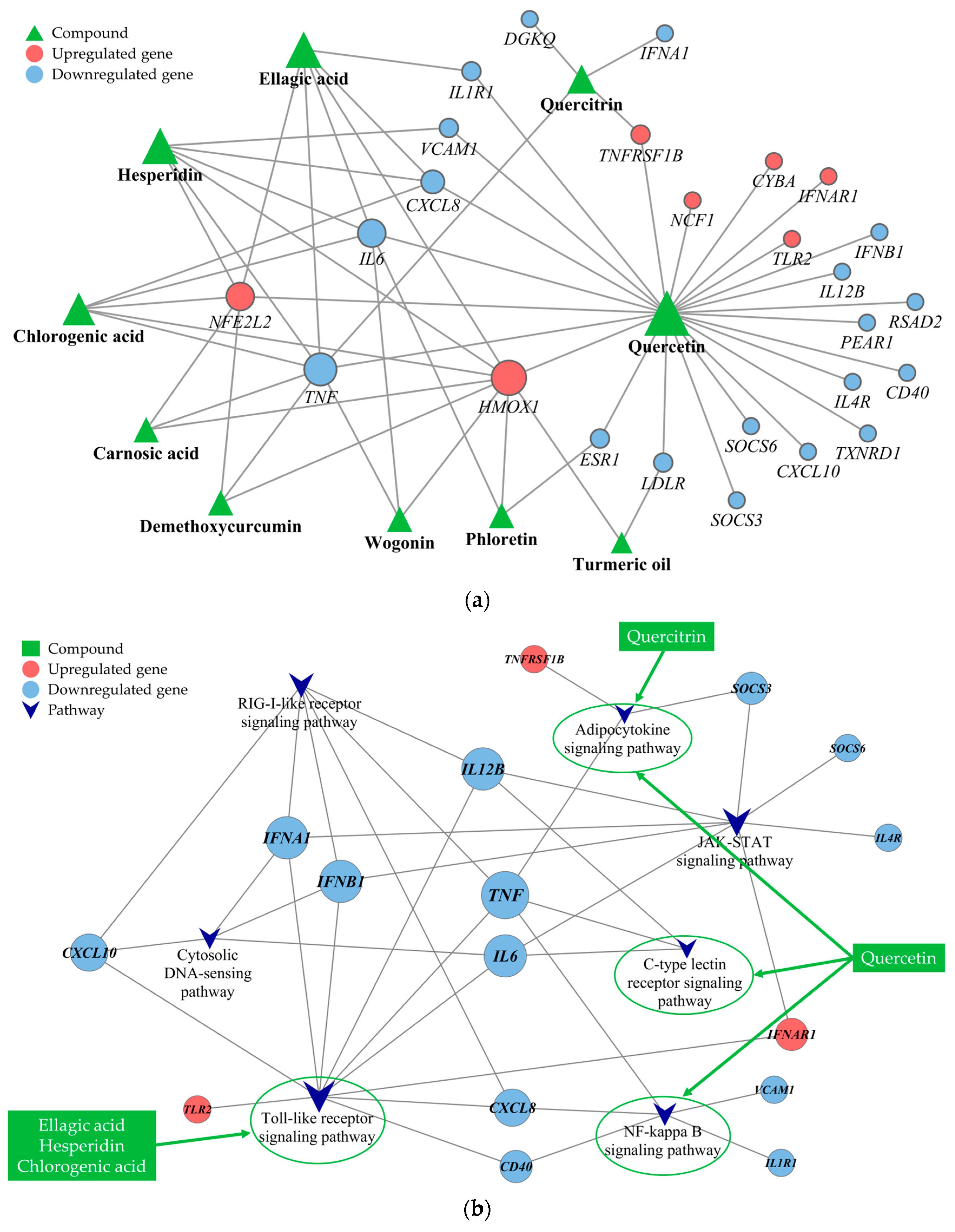 Antioxidants 13 00036 g004