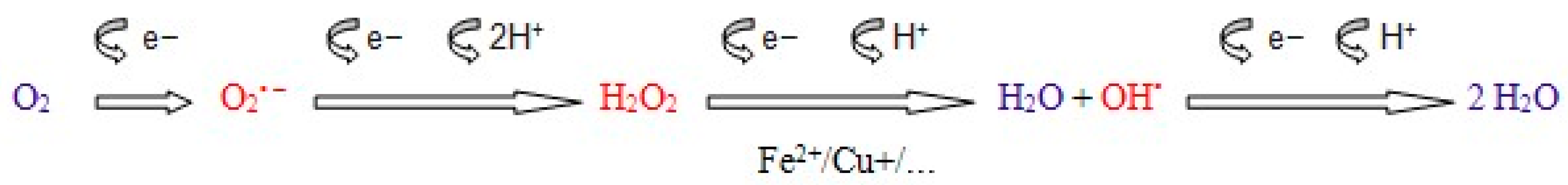 Antioxidants 13 00038 g001 Antioxidants 13 00038 g001