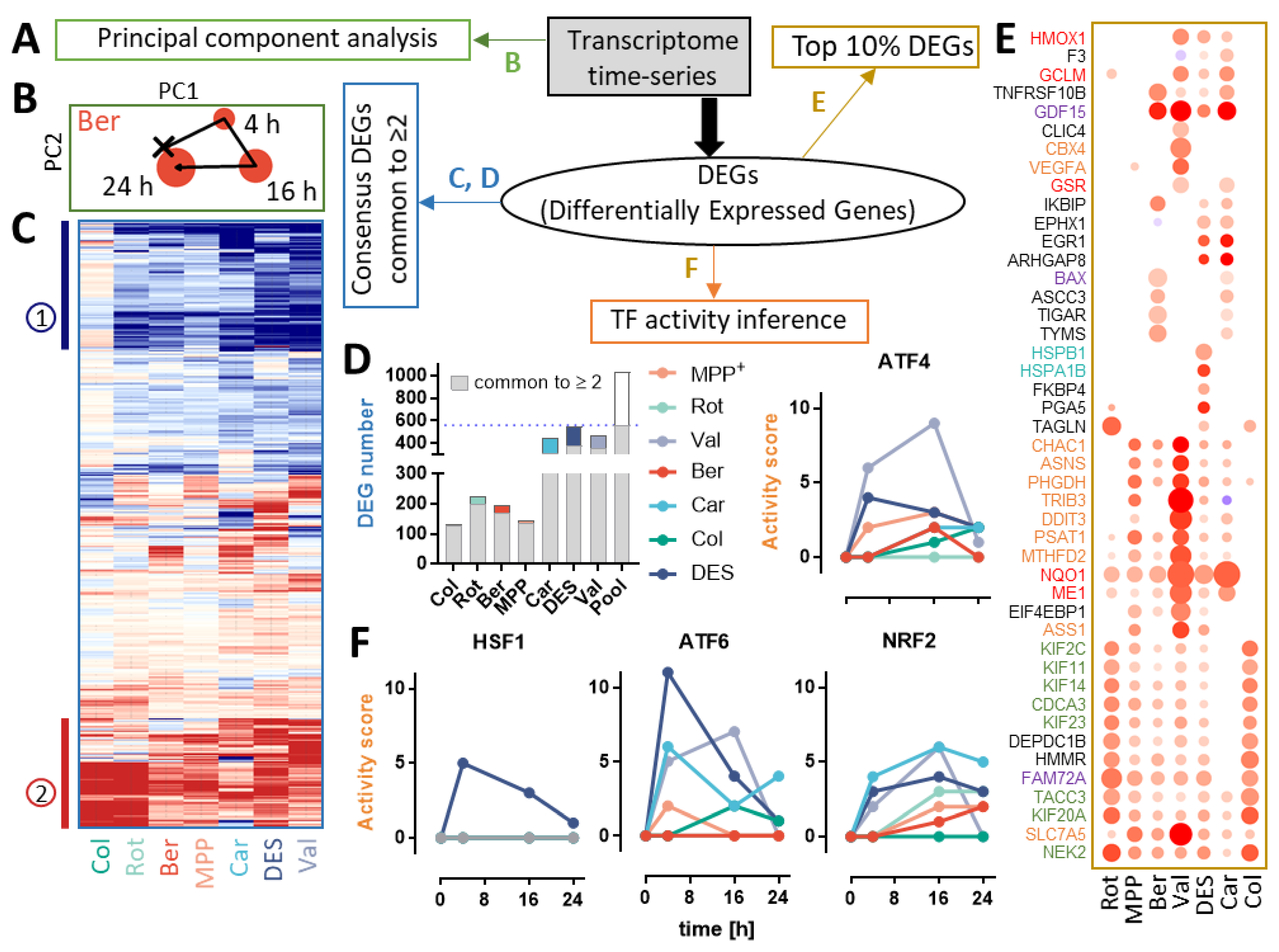 Antioxidants 13 00049 g002 Antioxidants 13 00049 g002