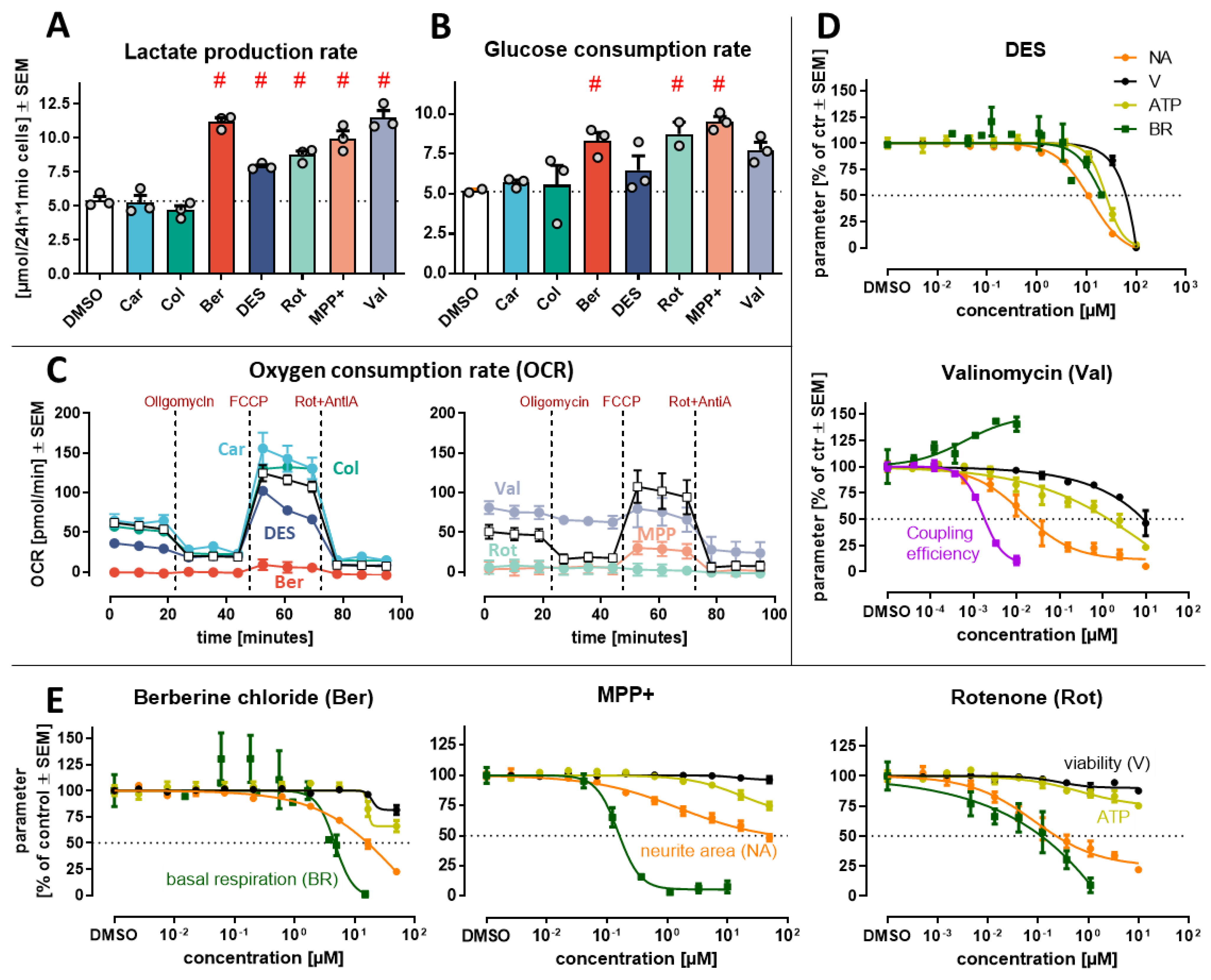 Antioxidants 13 00049 g004 Antioxidants 13 00049 g004