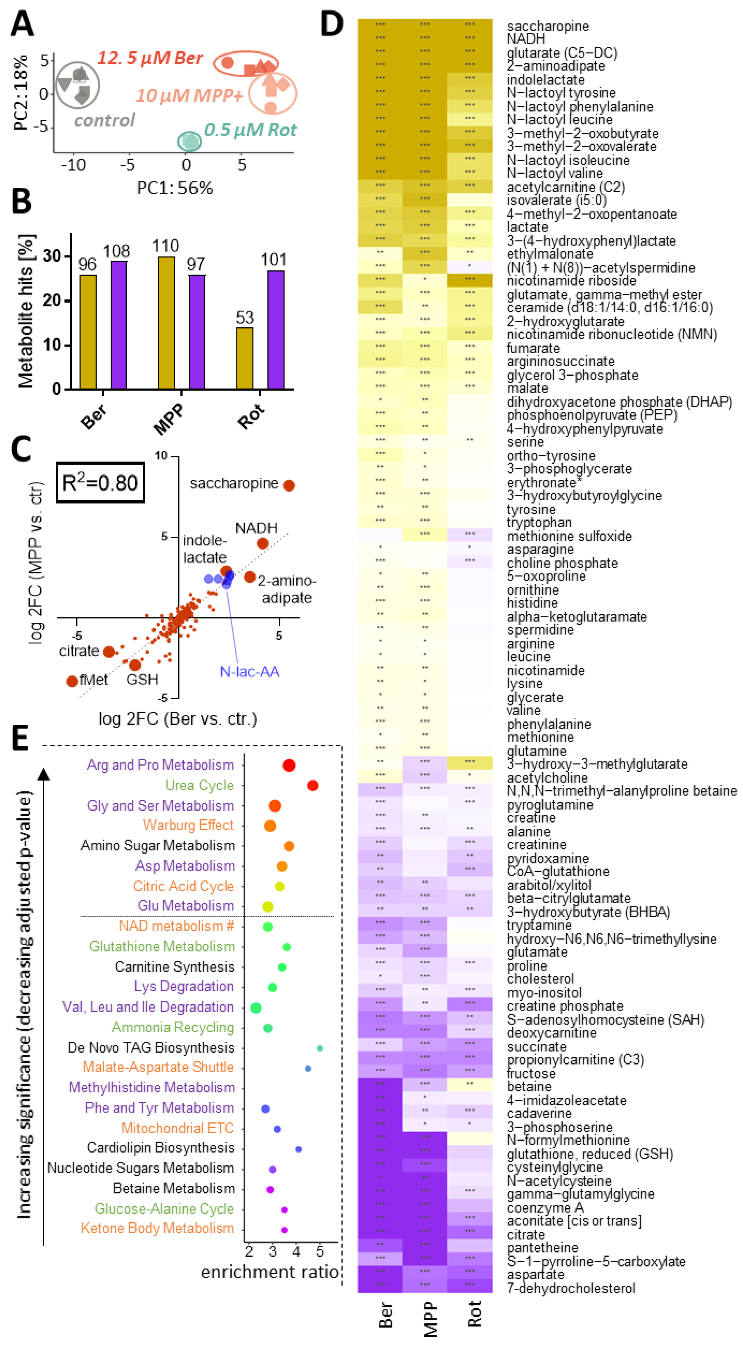 Antioxidants 13 00049 g007 Antioxidants 13 00049 g007