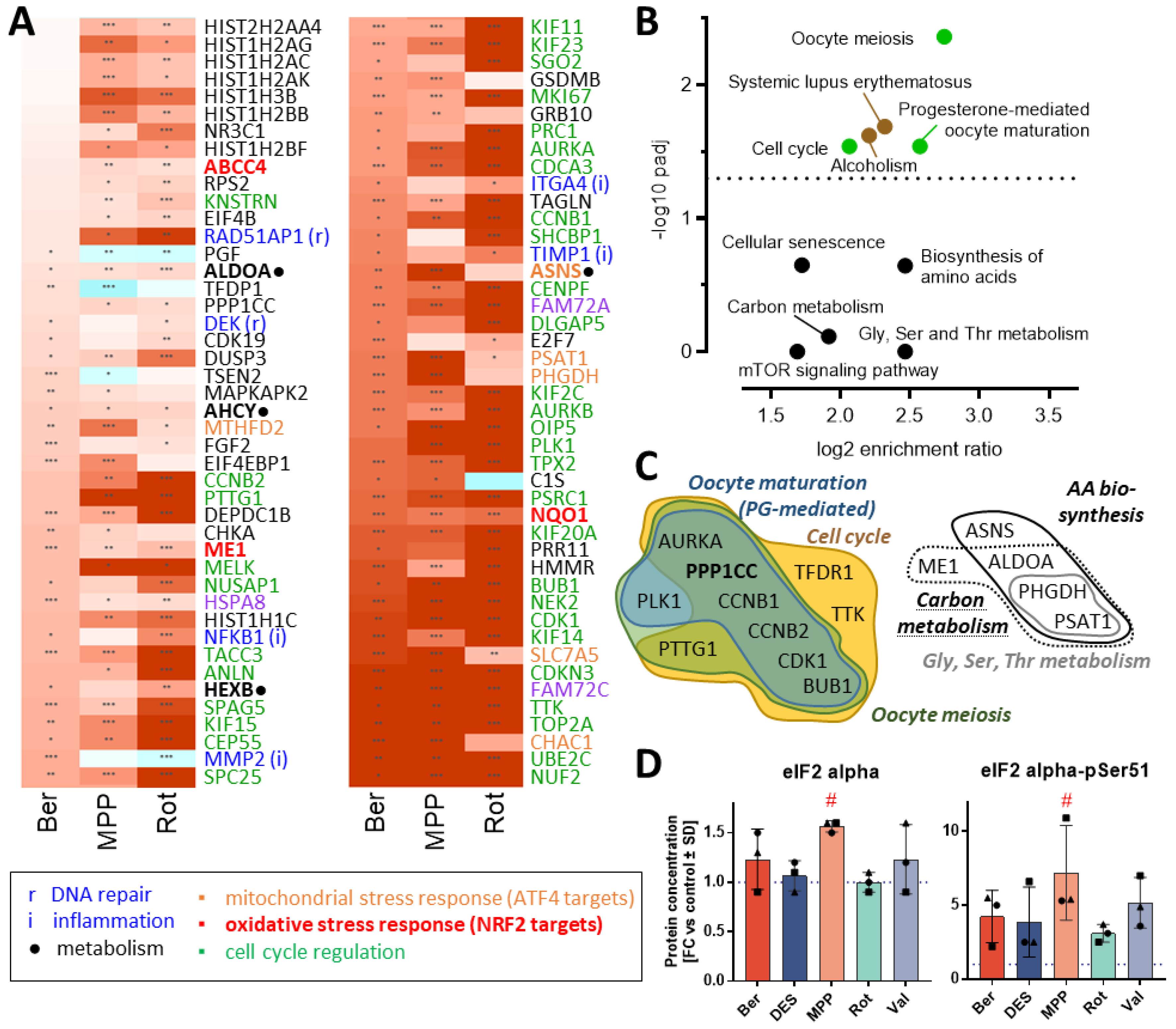 Antioxidants 13 00049 g008 Antioxidants 13 00049 g008