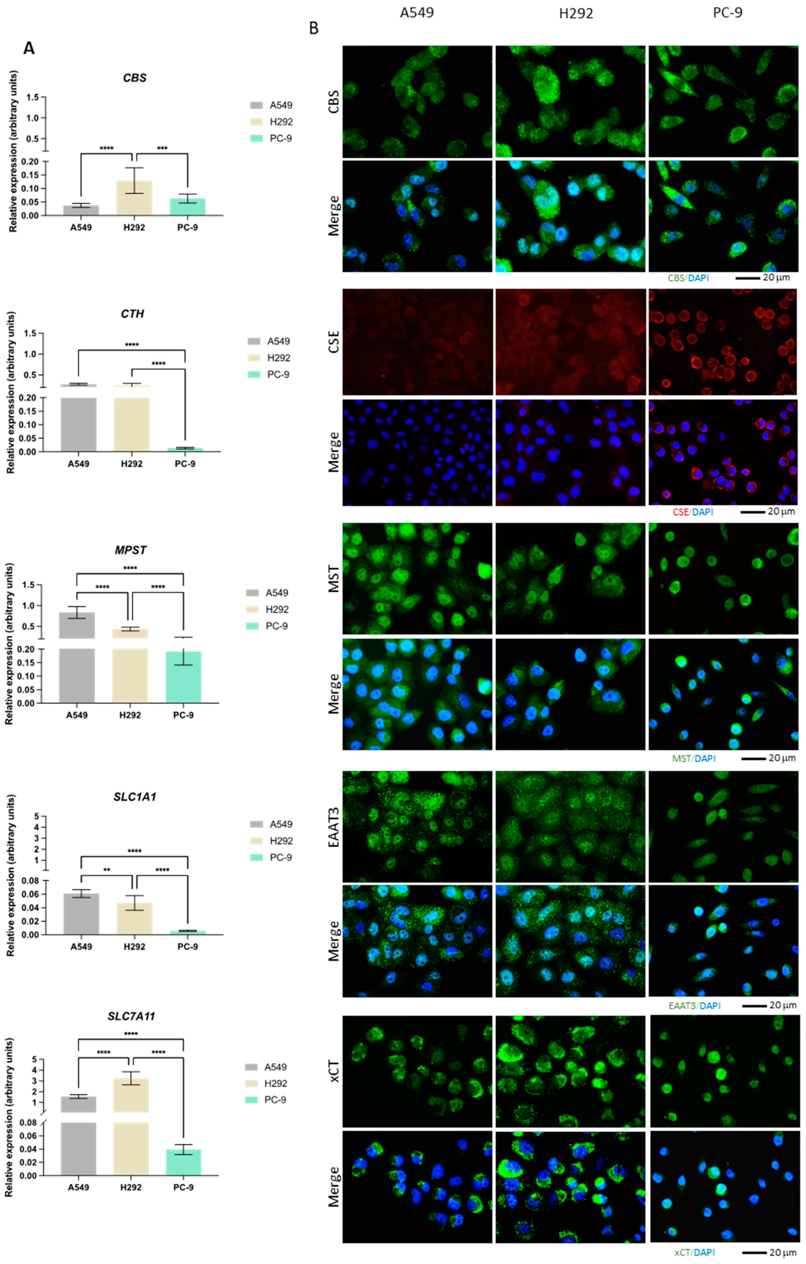 Antioxidants 13 00051 g002a