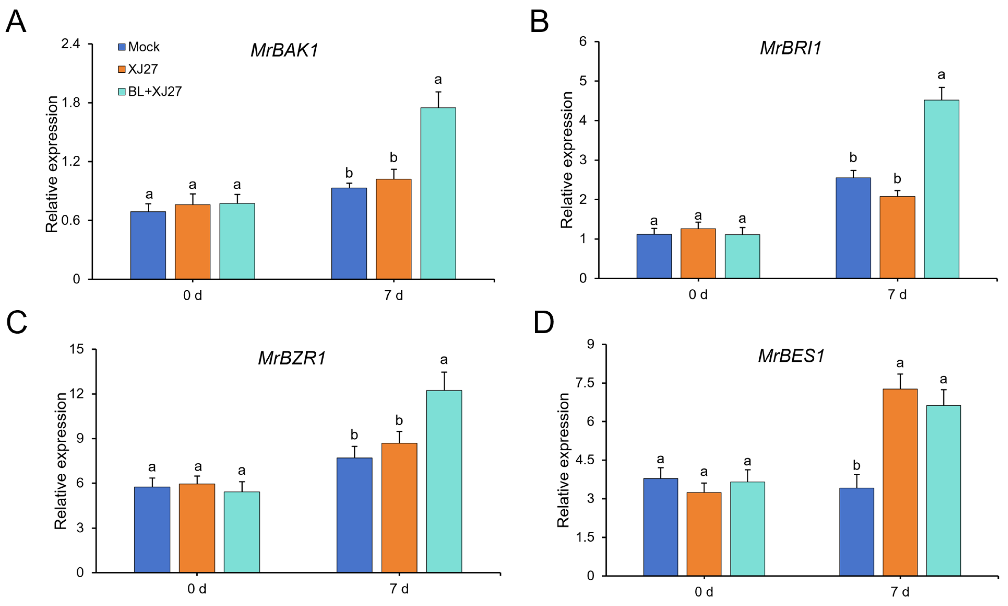 Antioxidants 13 00061 g005 Antioxidants 13 00061 g005