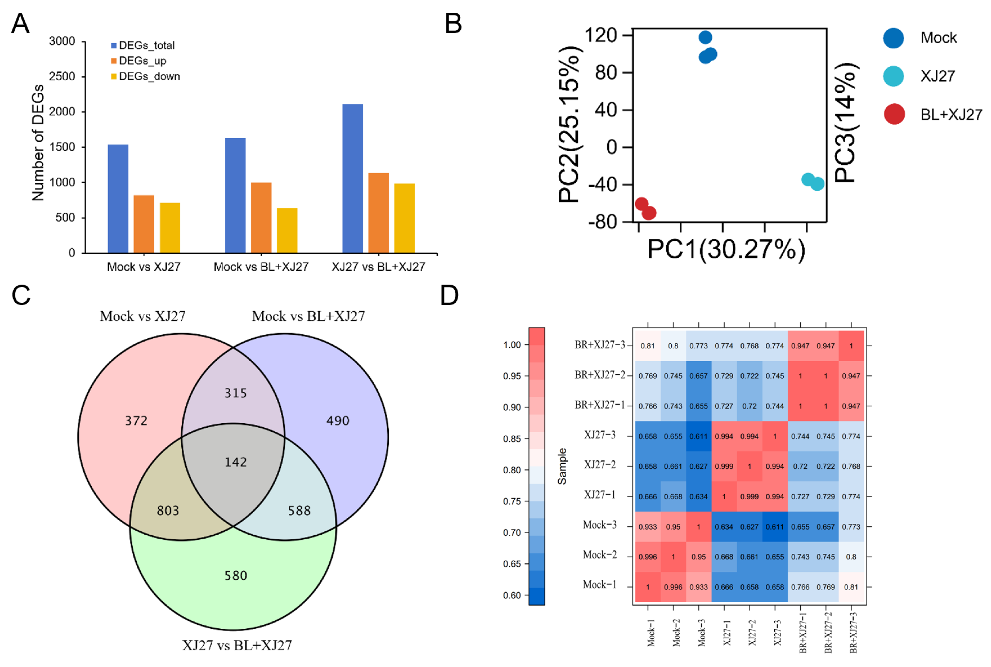 Antioxidants 13 00061 g006 Antioxidants 13 00061 g006
