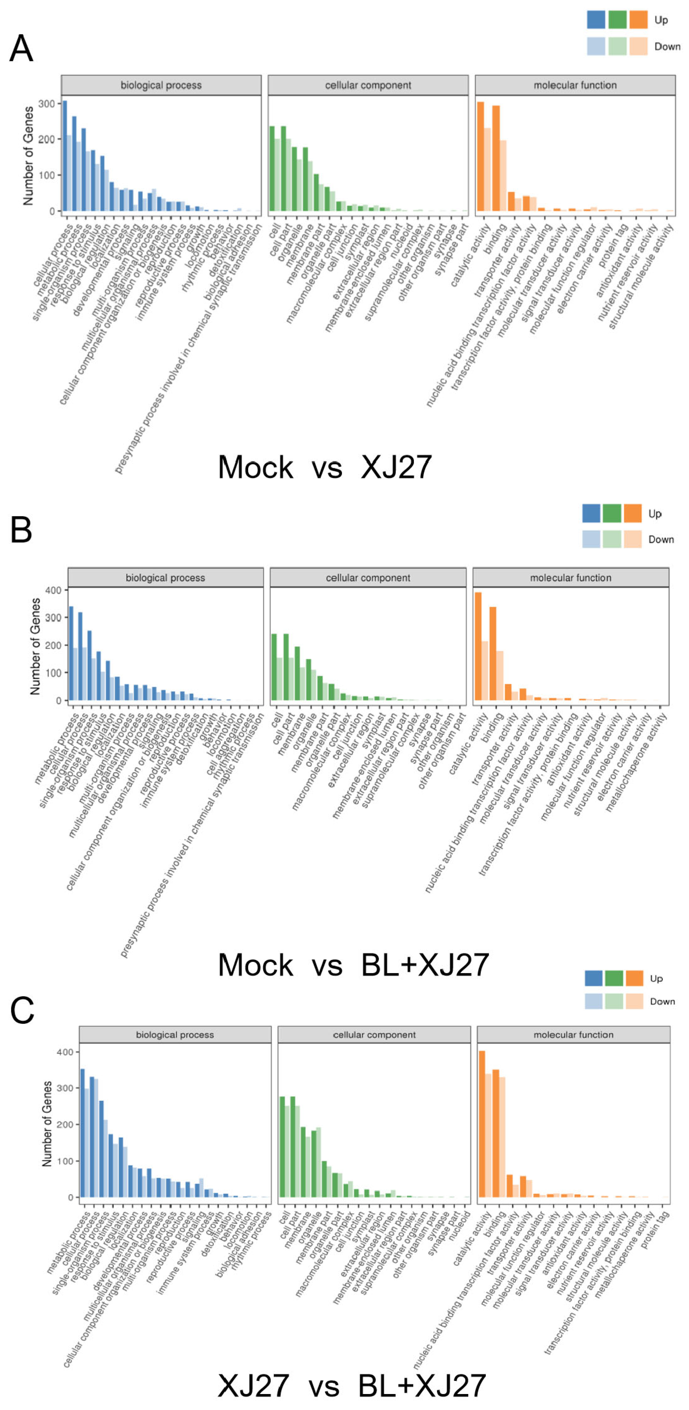 Antioxidants 13 00061 g007 Antioxidants 13 00061 g007