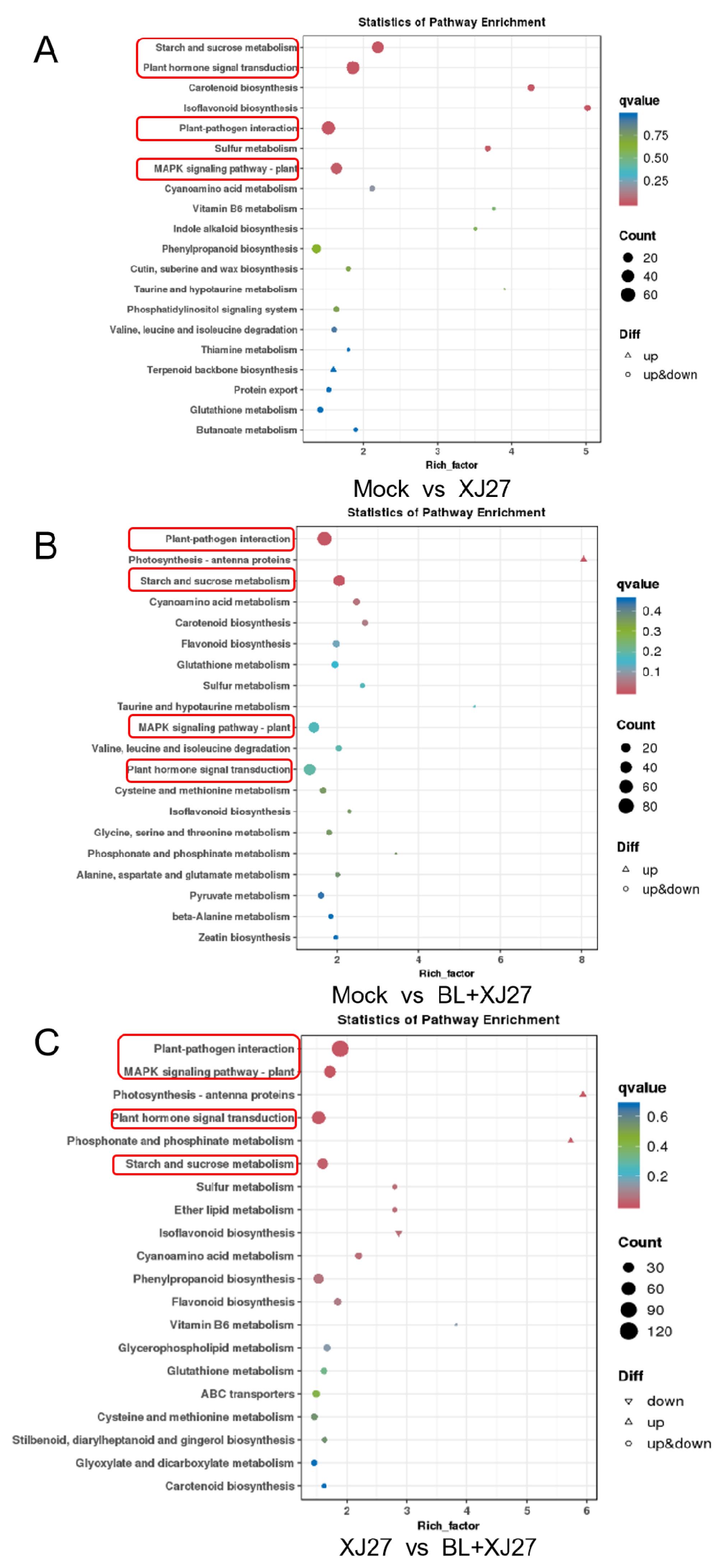 Antioxidants 13 00061 g008 Antioxidants 13 00061 g008