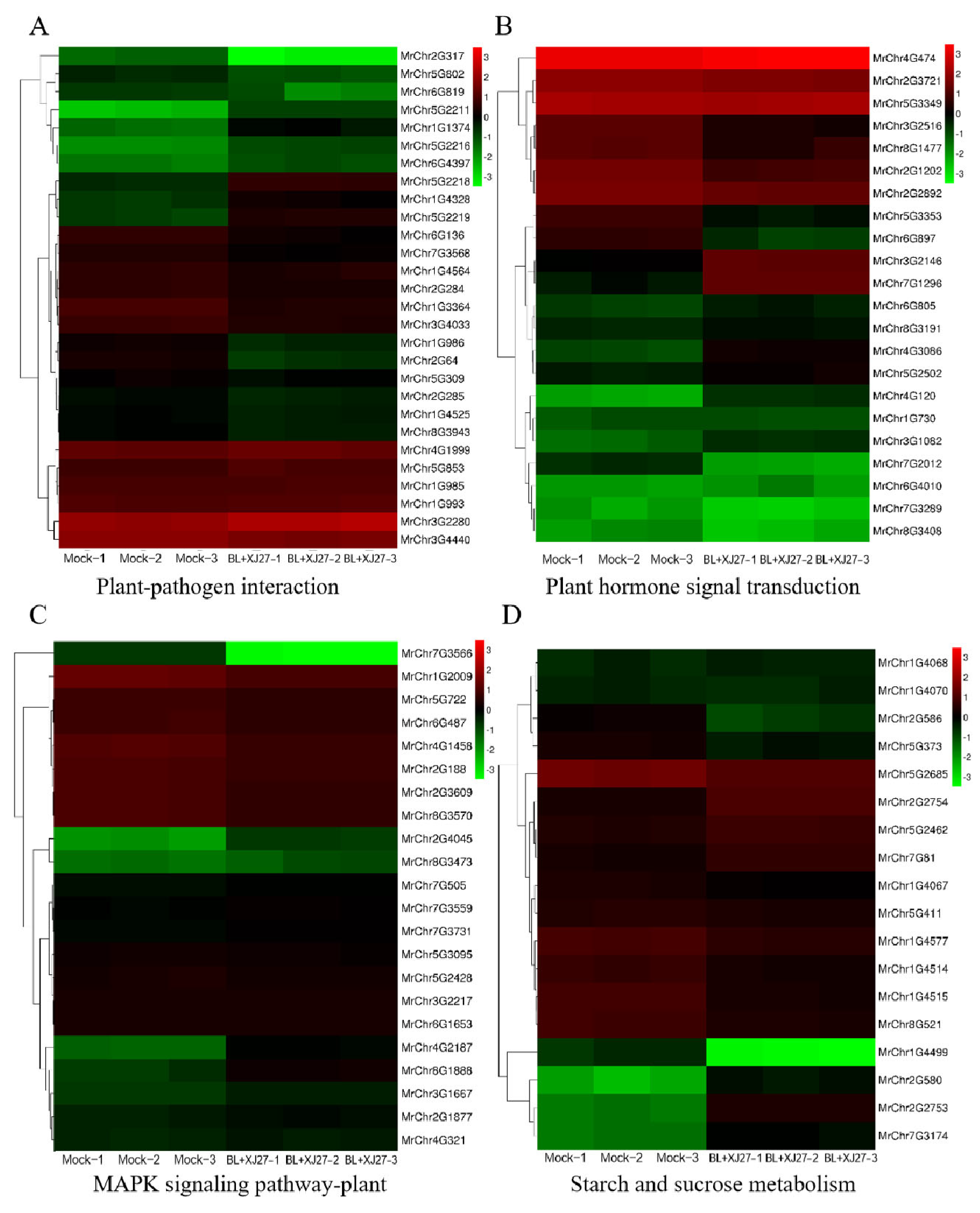 Antioxidants 13 00061 g009 Antioxidants 13 00061 g009